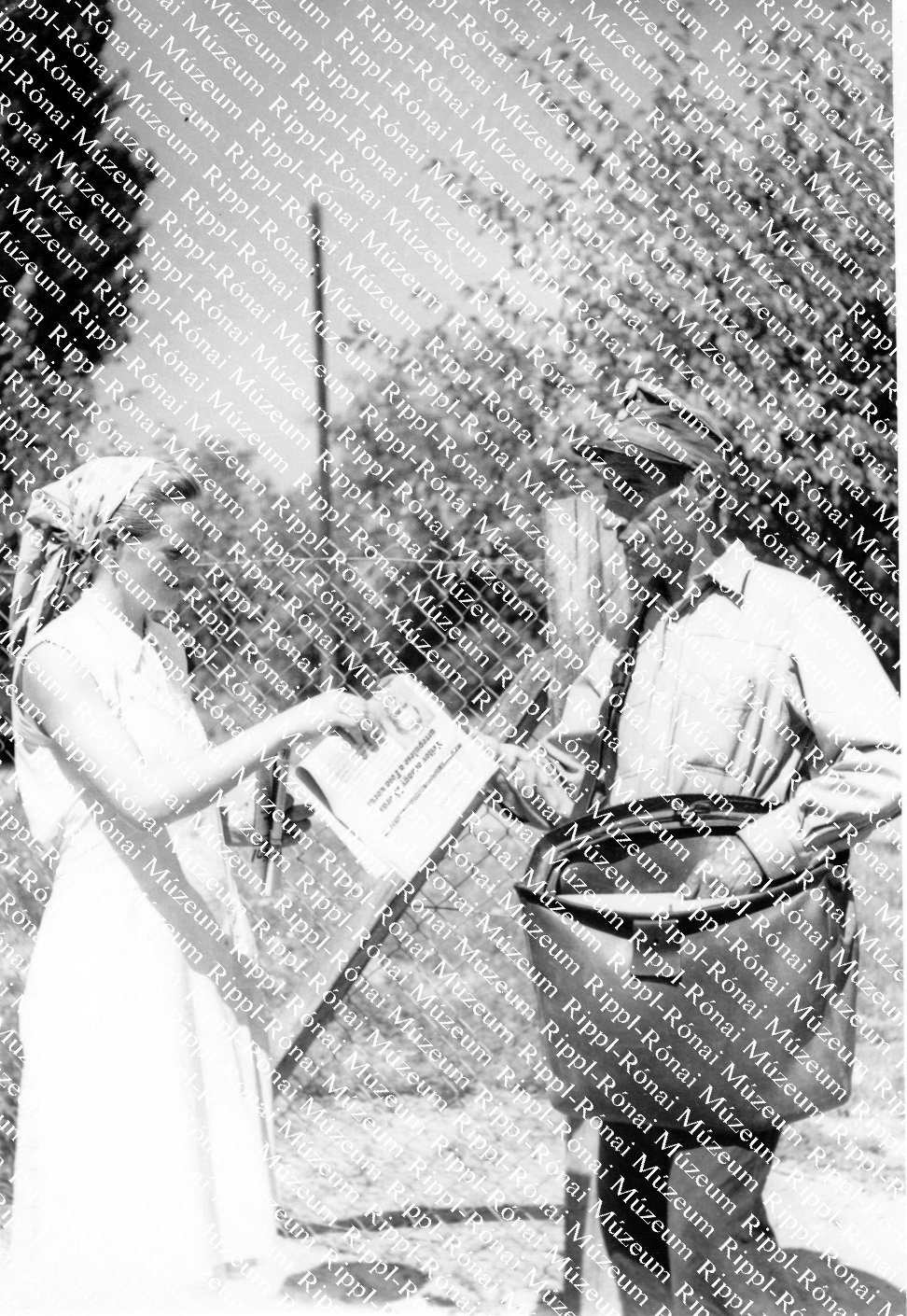 Sós József, darányi postás újságot kézbesít (Rippl-Rónai Múzeum CC BY-NC-SA)
