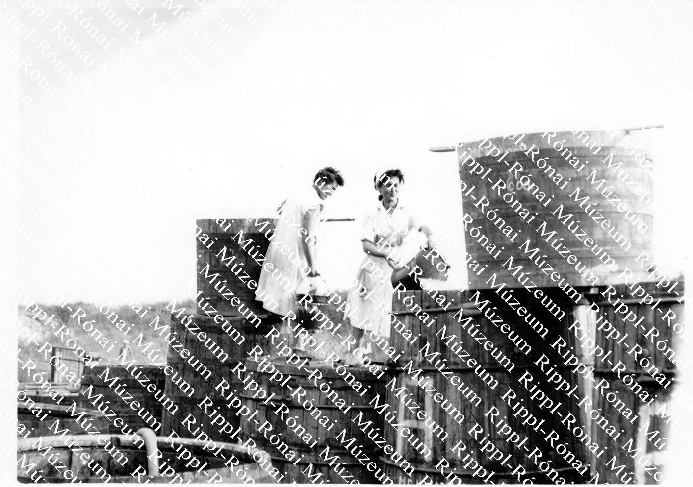 A siófoki MÉK üzemében páclevet készítenek (Rippl-Rónai Múzeum CC BY-NC-SA)