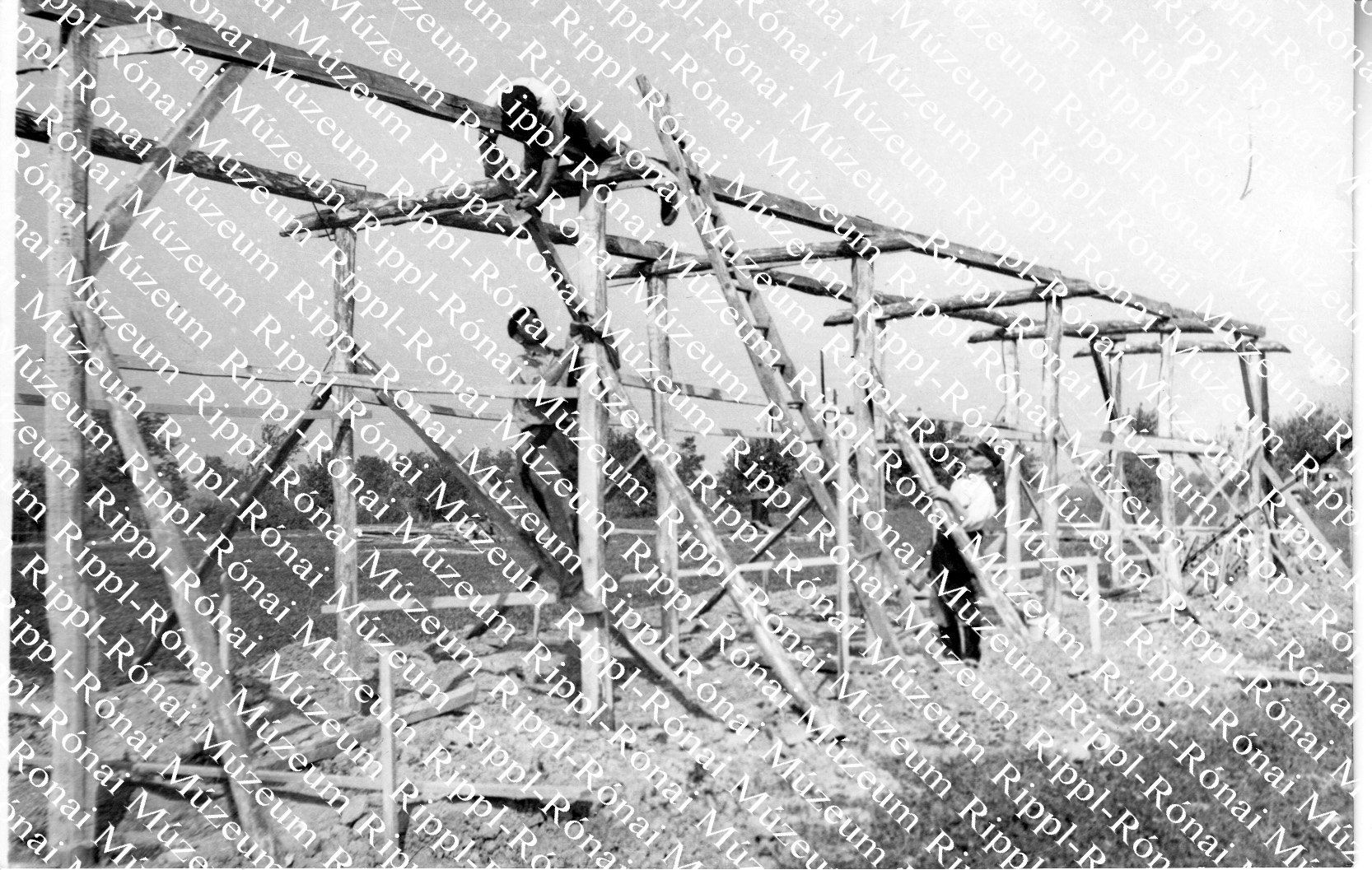 Húsz férőhelyes sertésfialtató épül a nagyatádi Szorgalom Tsz-ben (Rippl-Rónai Múzeum CC BY-NC-SA)