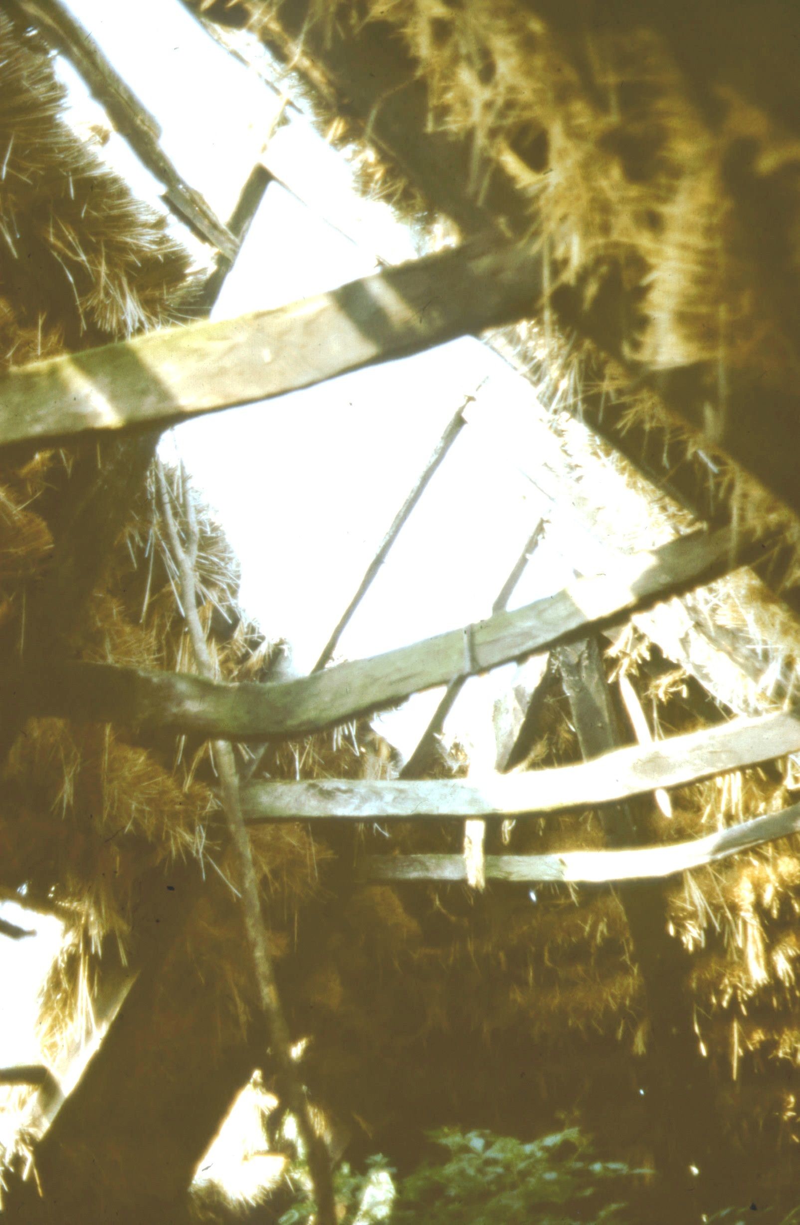 Szarufák. Nézet a padlástér DK-i feléből. Pátró (Rippl-Rónai Múzeum CC BY-NC-ND)