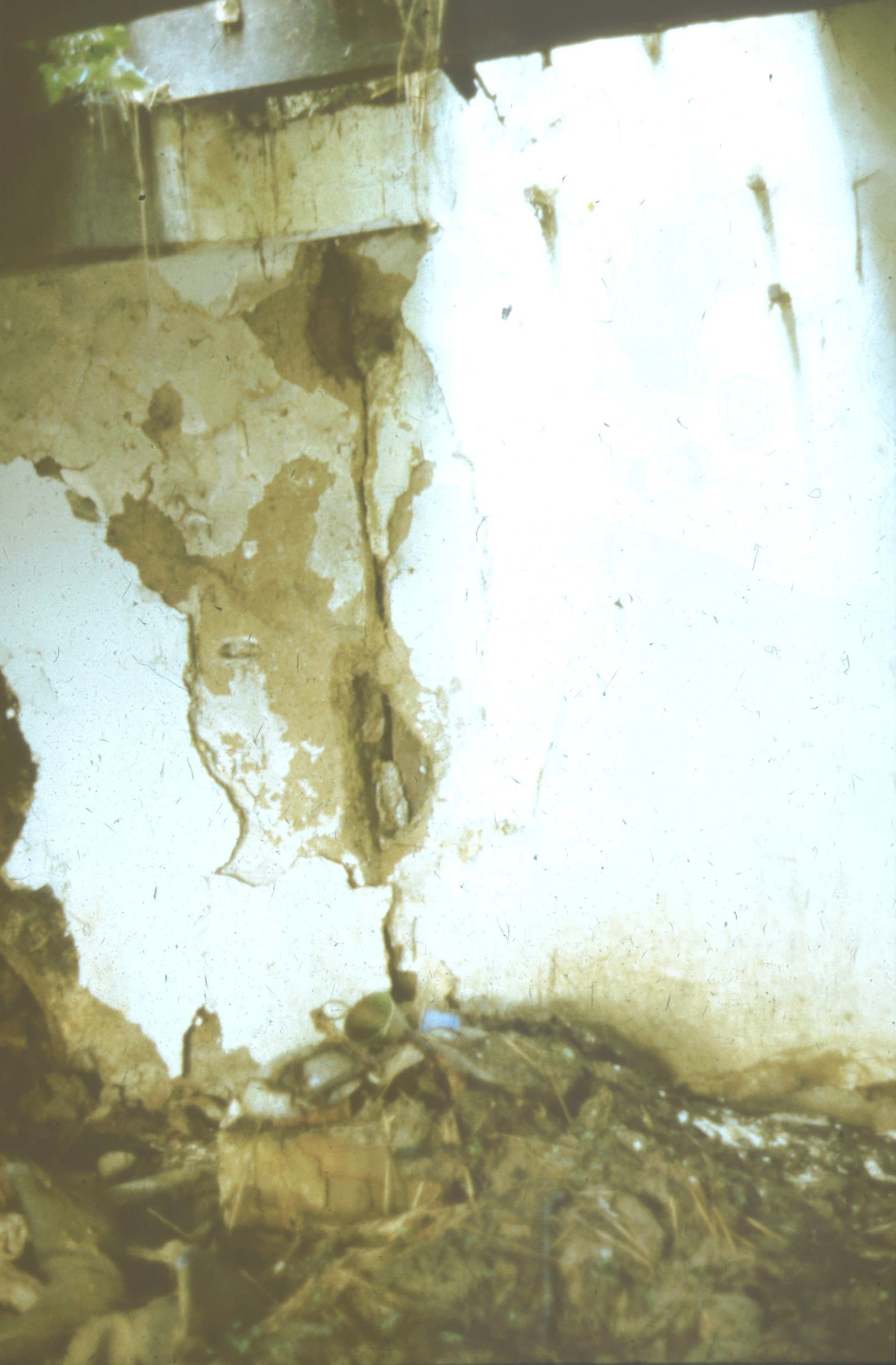 A szoba konyha felőli falának részlete (Rippl-Rónai Múzeum CC BY-NC-ND)