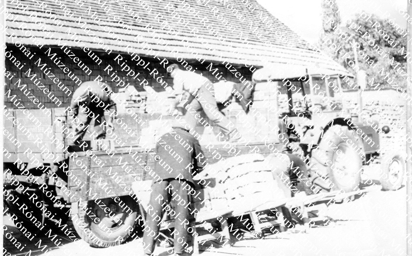 A nagybajomi Zöld Mező Tsz. tagjai építkezéshez visznek téglát a téglagyárból (Rippl-Rónai Múzeum CC BY-NC-SA)