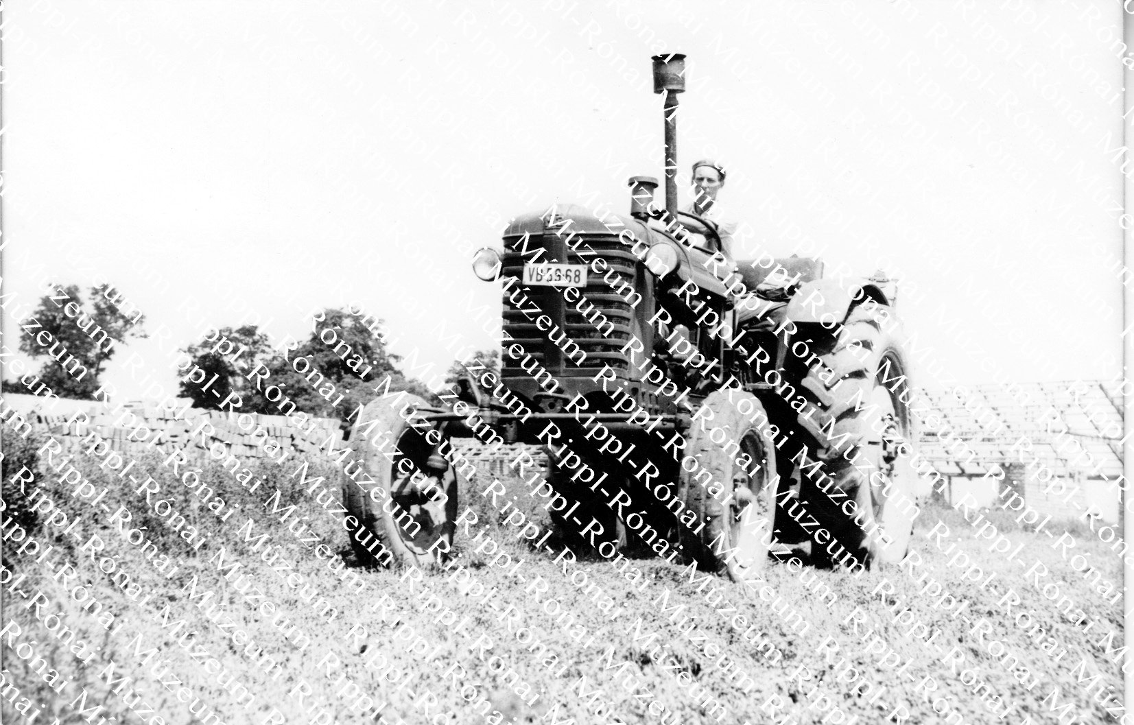 Varga Mihály, a kaposvári latinca-tsz traktorosa kaszálja a lucernát (Rippl-Rónai Múzeum CC BY-NC-SA)