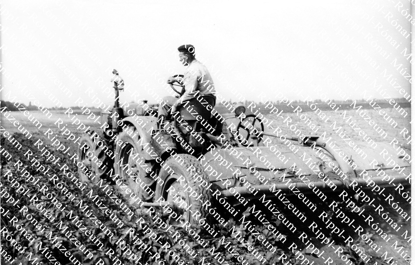 Frei János, a lábodi ÁG traktorosa szártépő gépével a vetőburgonya szárát vágja (Rippl-Rónai Múzeum CC BY-NC-SA)