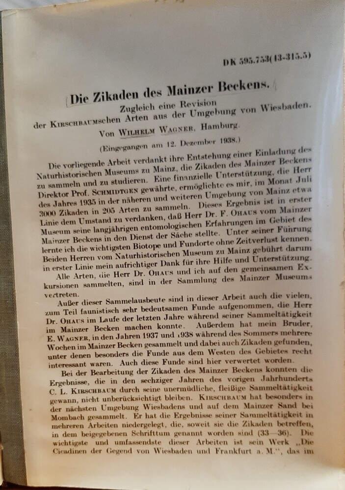 Wilhelm Wagner: Die Zikaden des Mainzer Beckens (Rippl-Rónai Múzeum CC BY-NC-ND)