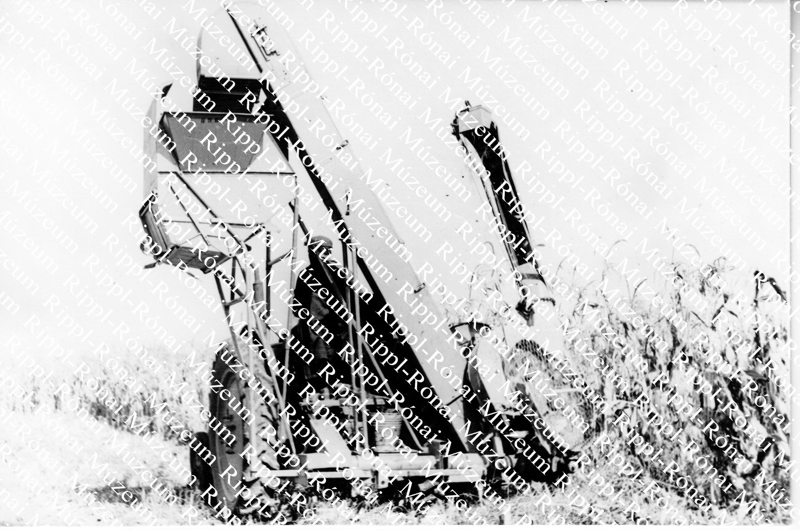 Csőtörő gépek a Balatonnagybereki Állami Gazdaságban (Rippl-Rónai Múzeum CC BY-NC-SA)