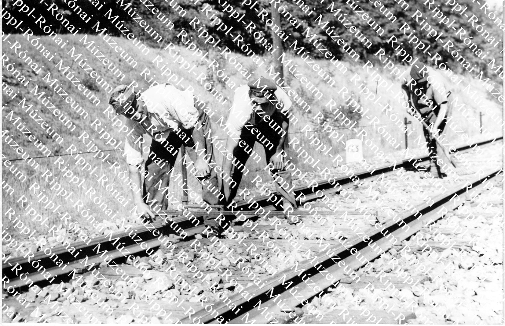 A Pécs-Barcs vasútvonal pályfelújítási munkálatai során belcsapusztai megállónál cserélik a síneket (Rippl-Rónai Múzeum CC BY-NC-SA)