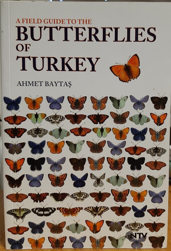 Ahmet Baytas: A Field Guide to the Butterflies of Turkey (Rippl-Rónai Múzeum CC BY-NC-ND)