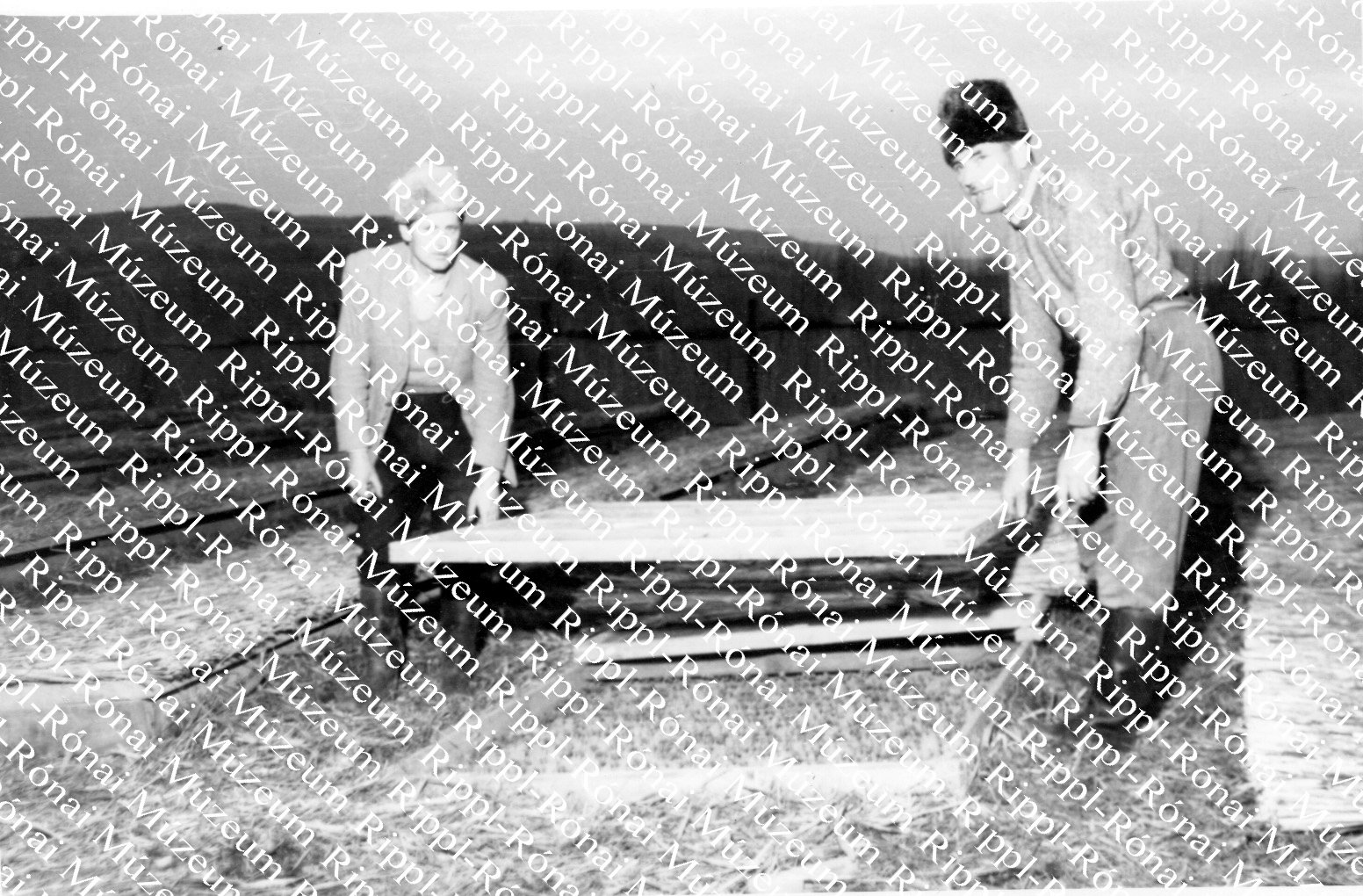 A kötcsei Jó Reménység Tsz-ben Weisz József és Bíró Miklós betakargatja a káposzta palántákat (Rippl-Rónai Múzeum CC BY-NC-SA)