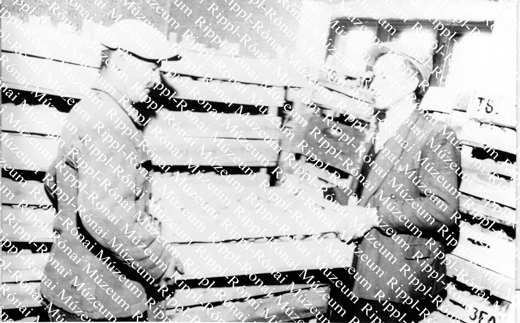 A háromfai Új Barázda Tsz-ben az előcsíráztatott burgonyát forgatják (Rippl-Rónai Múzeum CC BY-NC-SA)