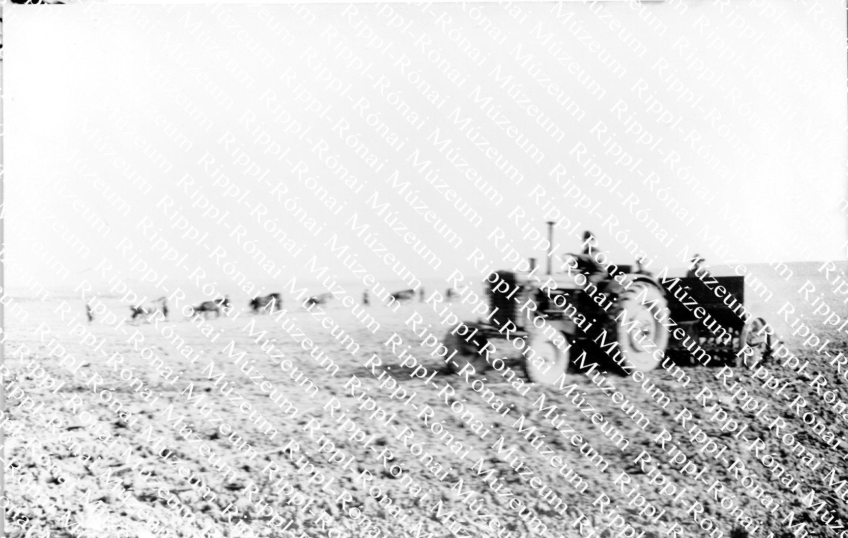 A háromfai Új Barázda Tsz-ben a nagyatádi Gépállomás traktorosai vetik a zabot (Rippl-Rónai Múzeum CC BY-NC-SA)