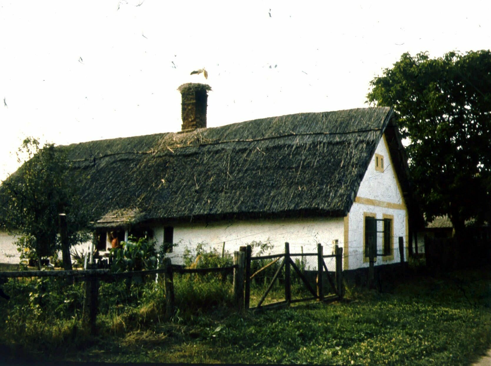 Lakóház, Boglashegy. Boglas-Kéthely (Rippl-Rónai Múzeum CC BY-NC-ND)