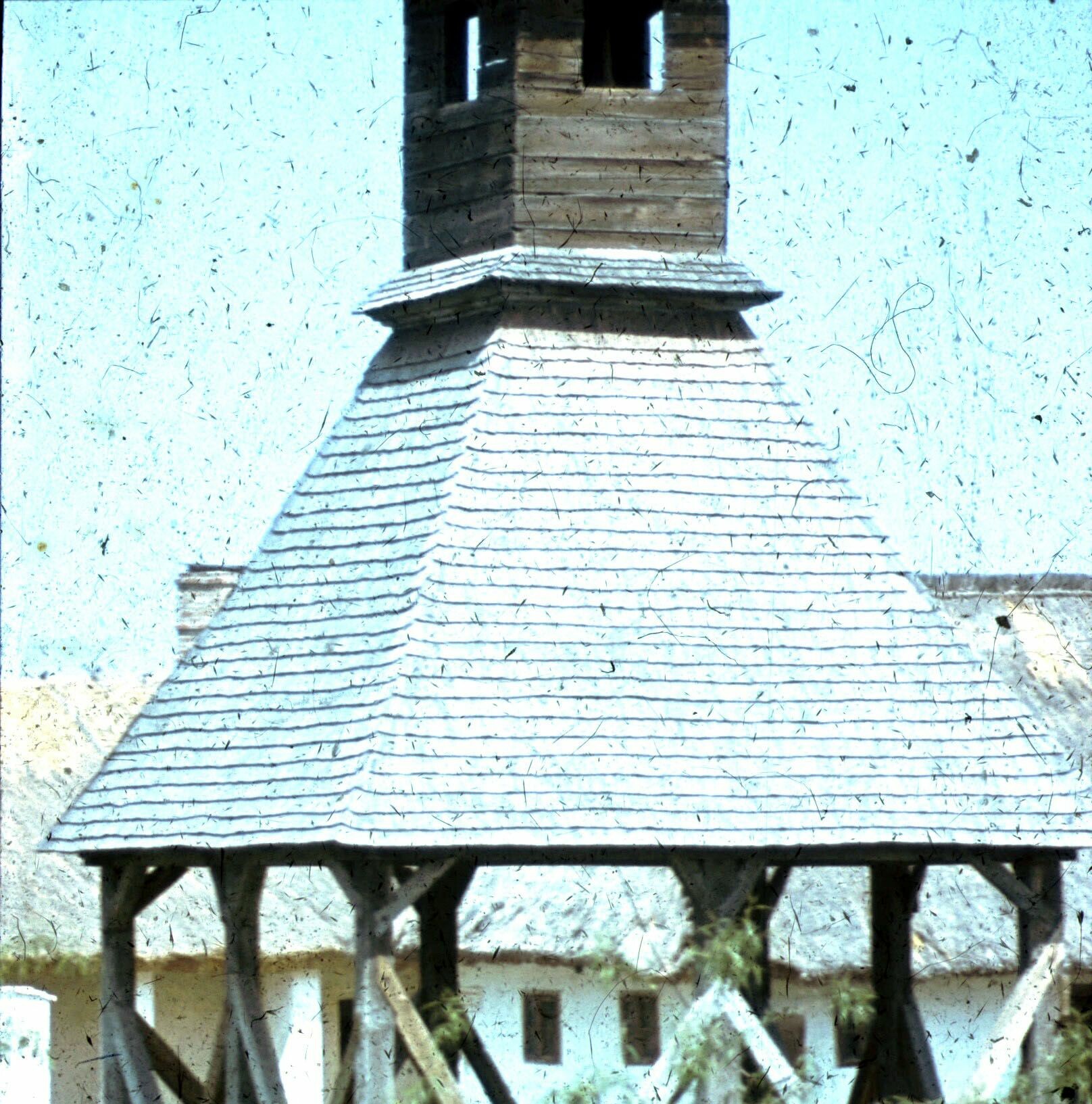 Fazsindelyes harangláb, Balatonkeresztúr (Rippl-Rónai Múzeum CC BY-NC-ND)