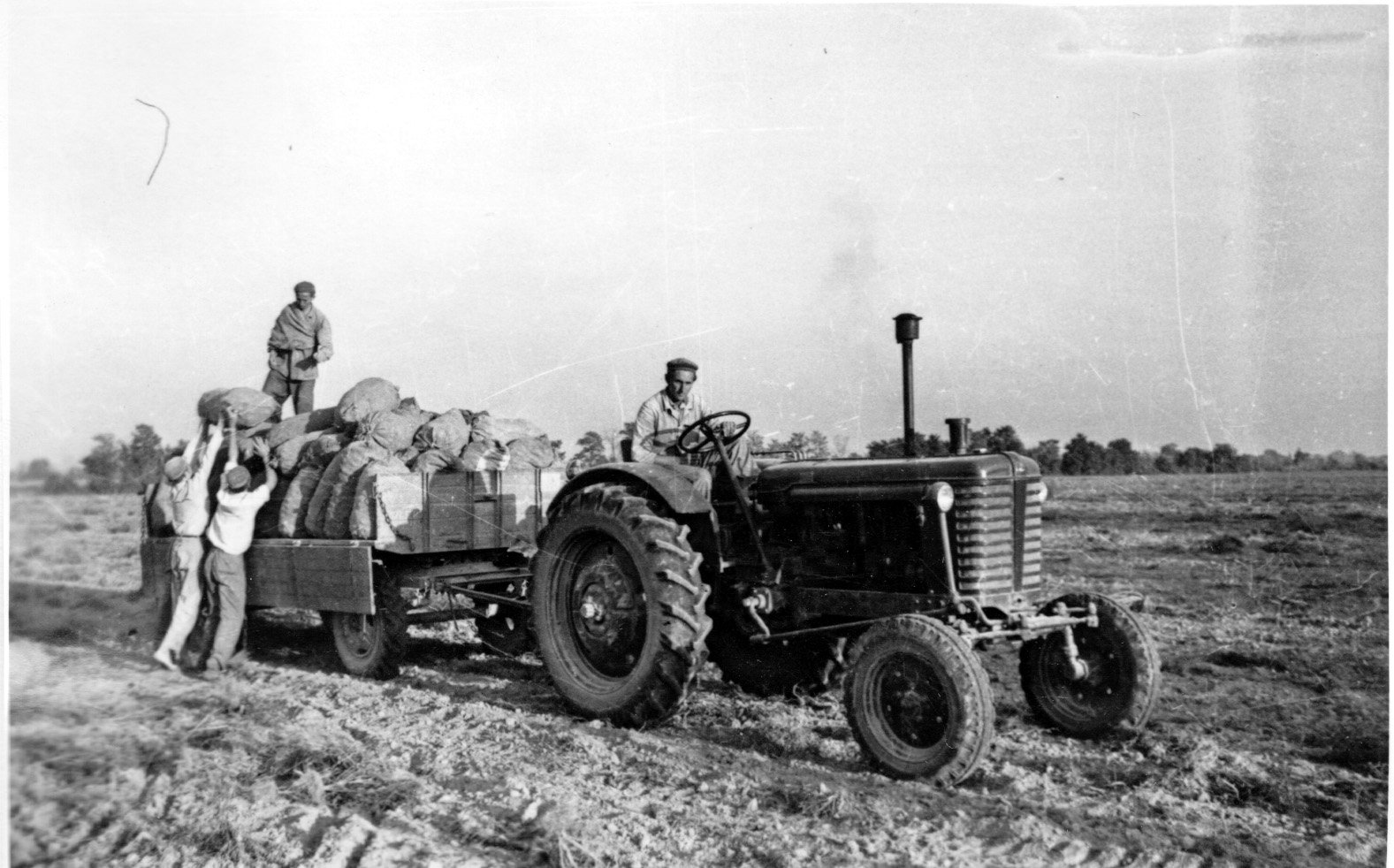 Kastélyosdombói Népakarat Tsz-ben a fölszedett burgonyát azonnal a MÉK-nek szállítják (Rippl-Rónai Múzeum CC BY-NC-SA)