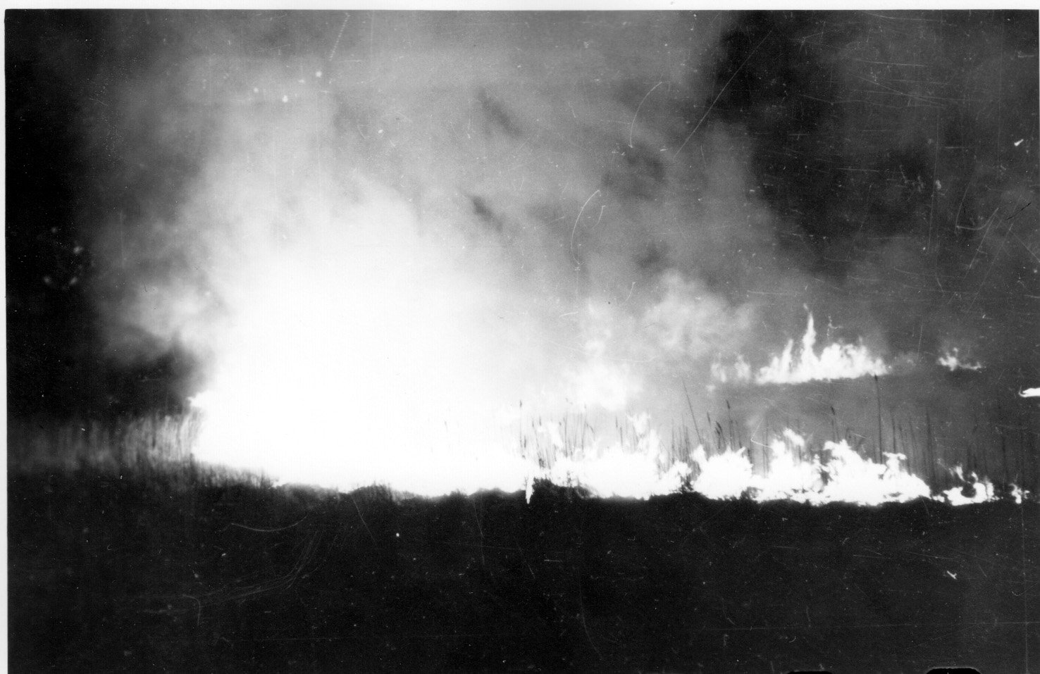 Tűz van a Kincsi-tói nádasban (Rippl-Rónai Múzeum CC BY-NC-SA)