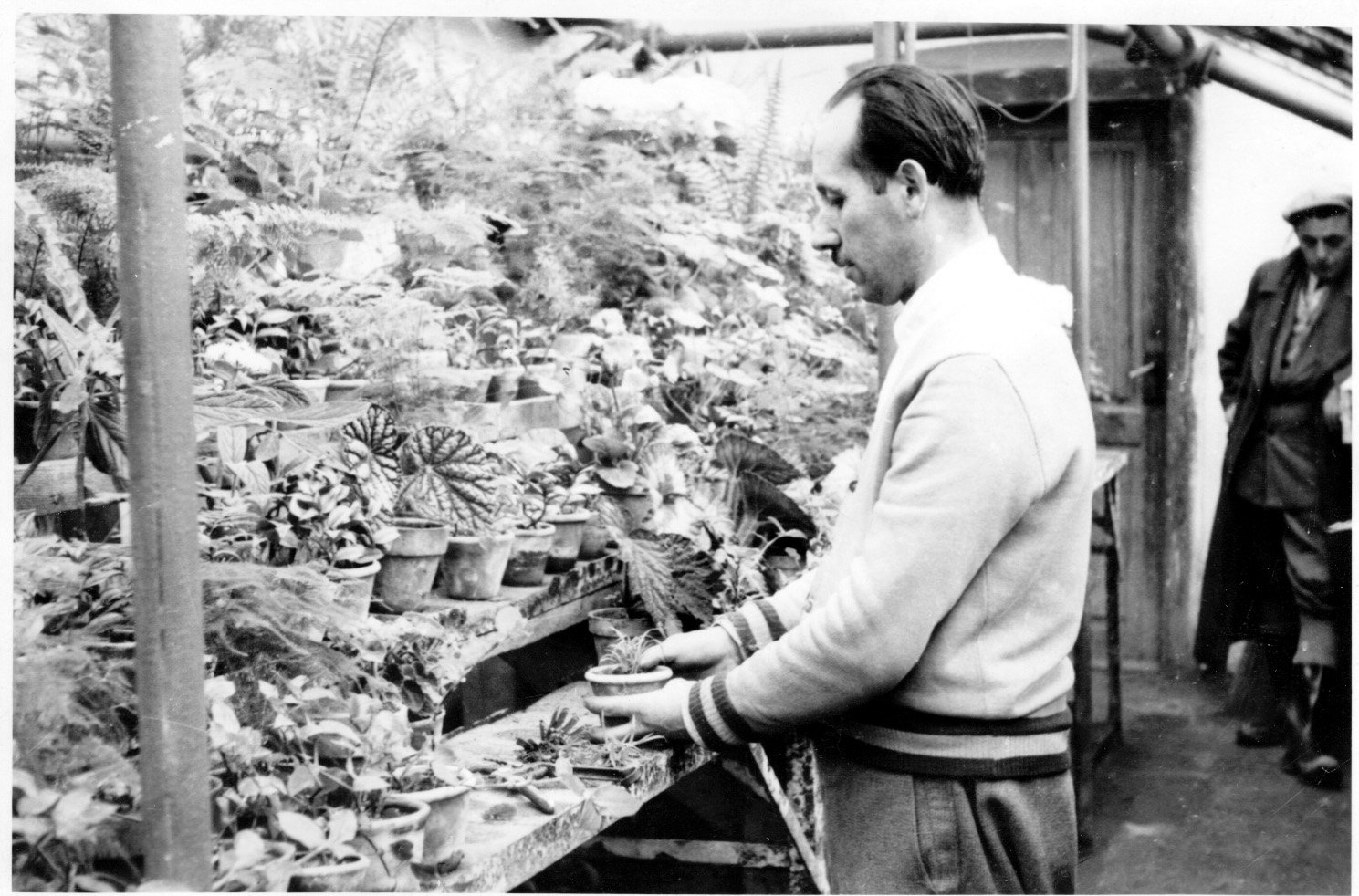 Kertészkedik, építkezik a csurgói Zrínyi Tsz. (Rippl-Rónai Múzeum CC BY-NC-SA)