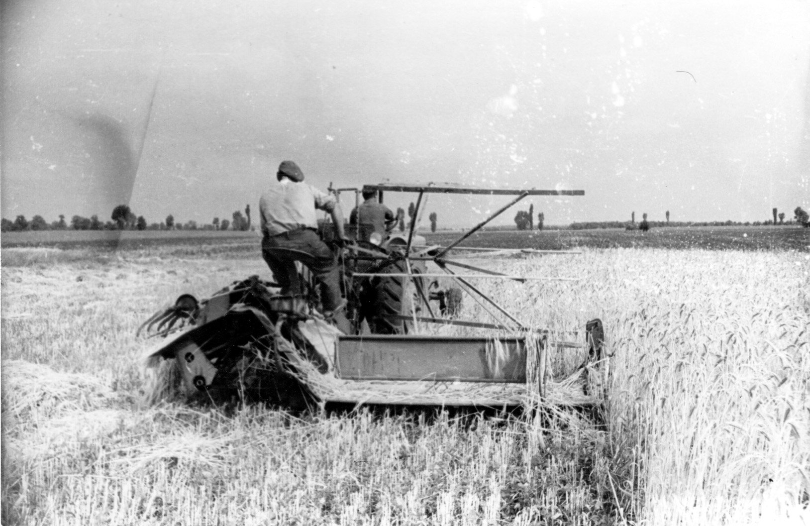 Gasparics József, a balatonkiliti Gépállomás aratógép-kezelője a balatonszabadi határban arat gépével (Rippl-Rónai Múzeum CC BY-NC-SA)