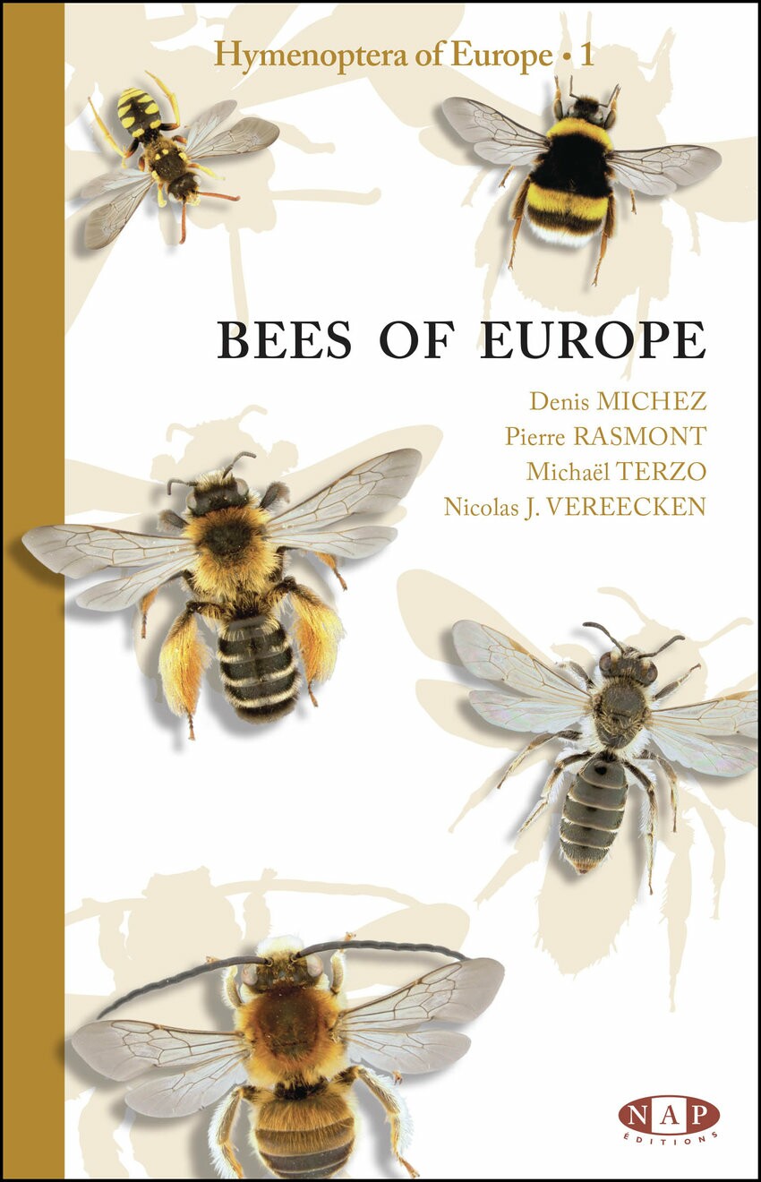 Hymenoptera of Europe 1. - Bees of Europe (Rippl-Rónai Múzeum CC BY-NC-ND)