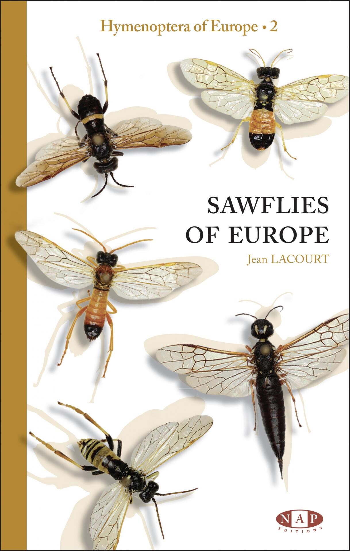 Jean Lacourt: Hymenoptera of Europe 2. - Sawflies of Europe (Rippl-Rónai Múzeum CC BY-NC-ND)