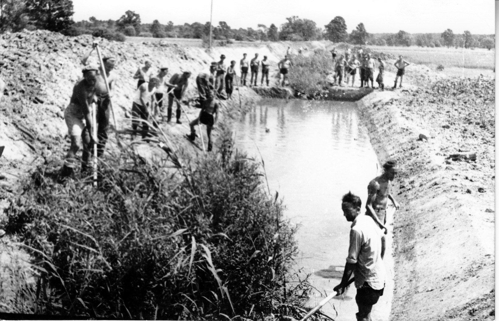 A pécsi Vízügyi Igazgatóság Gyékényes határában 21 km hosszúságban végezteti el a mezei árok metszését és tisztítását (Rippl-Rónai Múzeum CC BY-NC-SA)