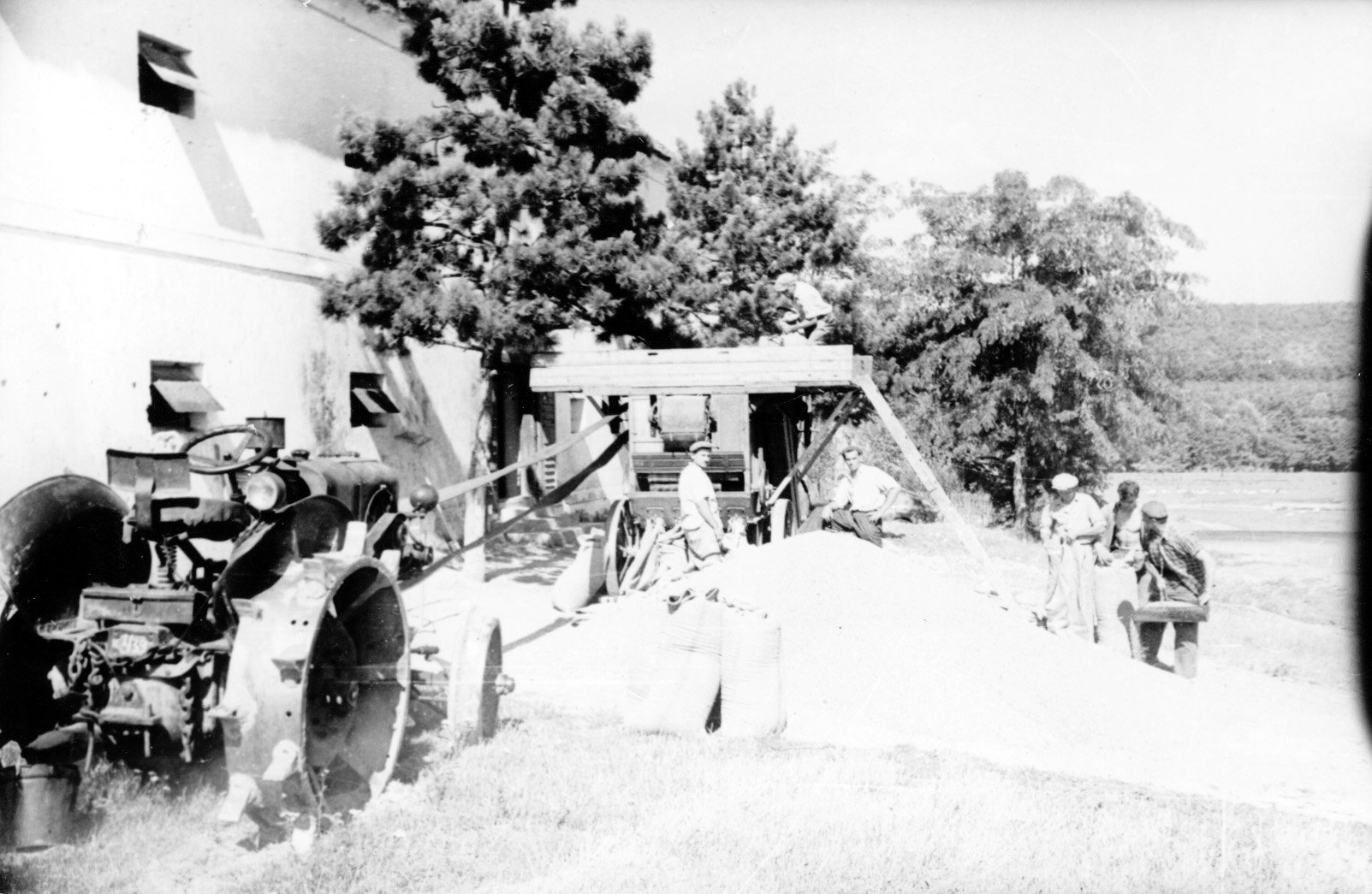 Tisztítják a búzát a gamási Aranykalász Tsz-ben (Rippl-Rónai Múzeum CC BY-NC-SA)