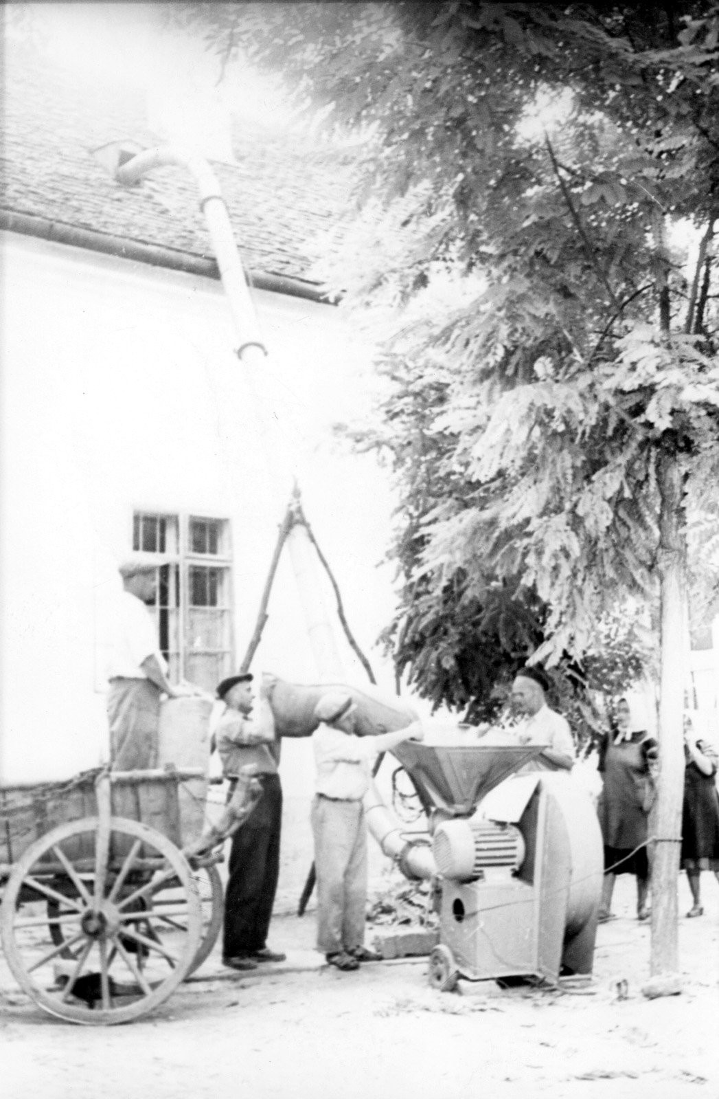 Gabonafelvonót vásárolt a karádi Búzakalász Tsz (Rippl-Rónai Múzeum CC BY-NC-SA)