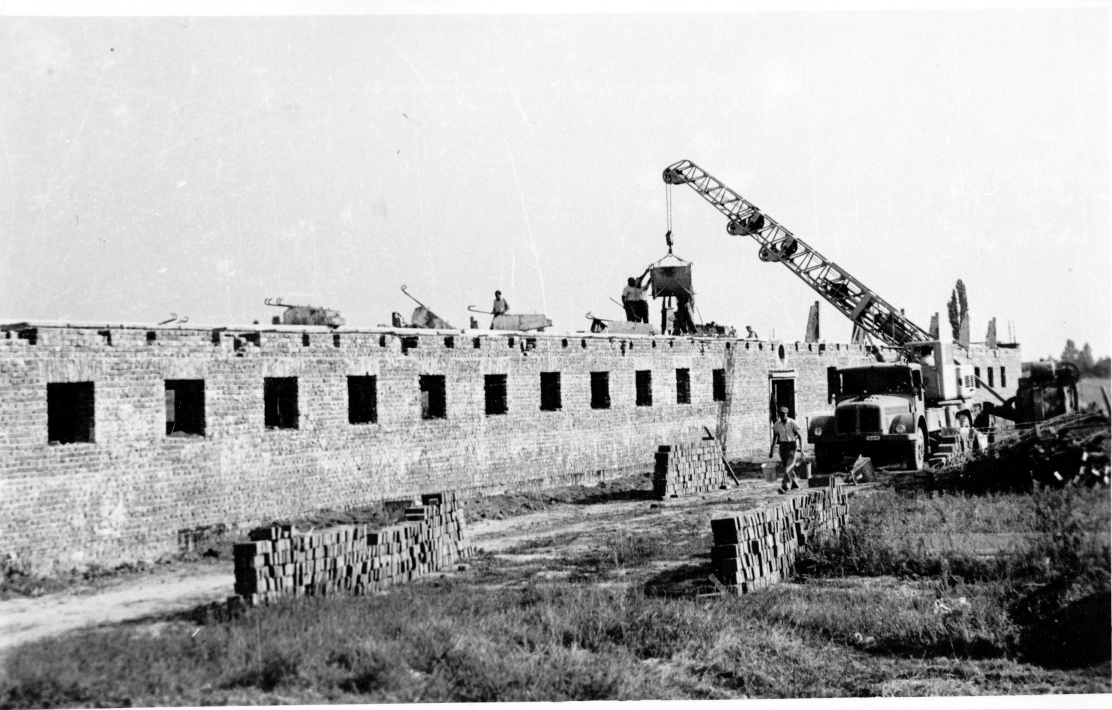 Marcaliban a Vörös Csillag Tsz-ben 100 férőhelyes tehénistállót építenek (Rippl-Rónai Múzeum CC BY-NC-SA)