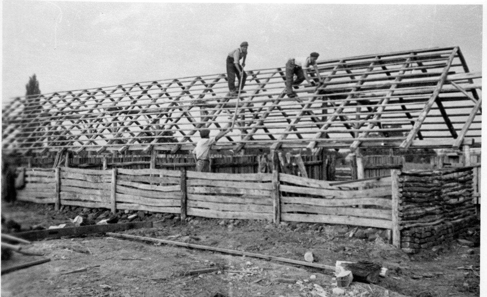 A kadarkúti Szabadság Tsz-ben 20 férőhelyes sertésfiaztatót építenek (Rippl-Rónai Múzeum CC BY-NC-SA)
