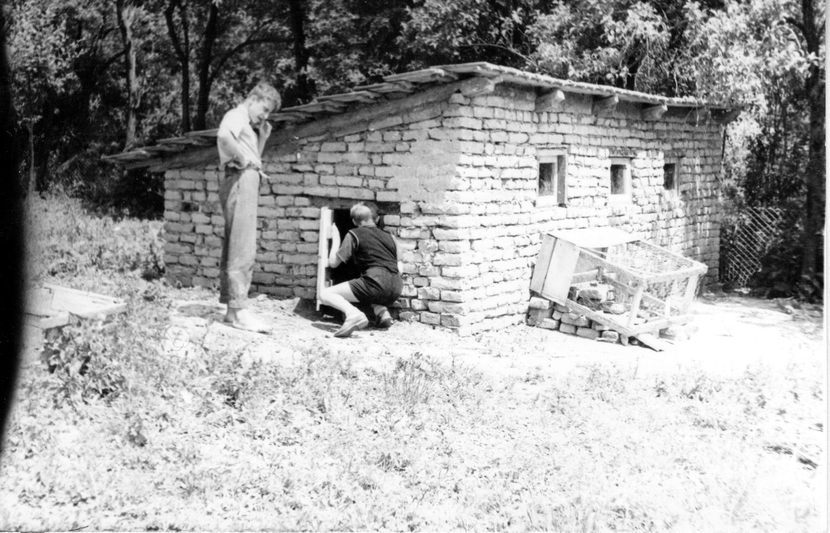 A tengődi iskolások maguk építette csibe ólja az iskola udvarán (Rippl-Rónai Múzeum CC BY-NC-SA)
