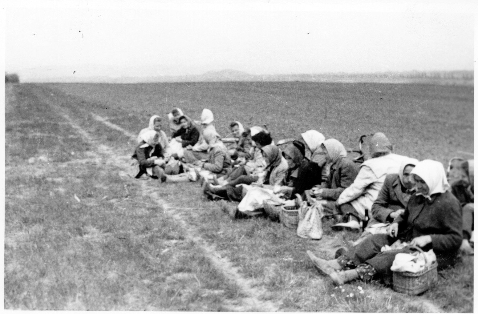 A szöllősgyöröki Kossuth Tsz-ben munka után ízlik az ebéd (Rippl-Rónai Múzeum CC BY-NC-SA)