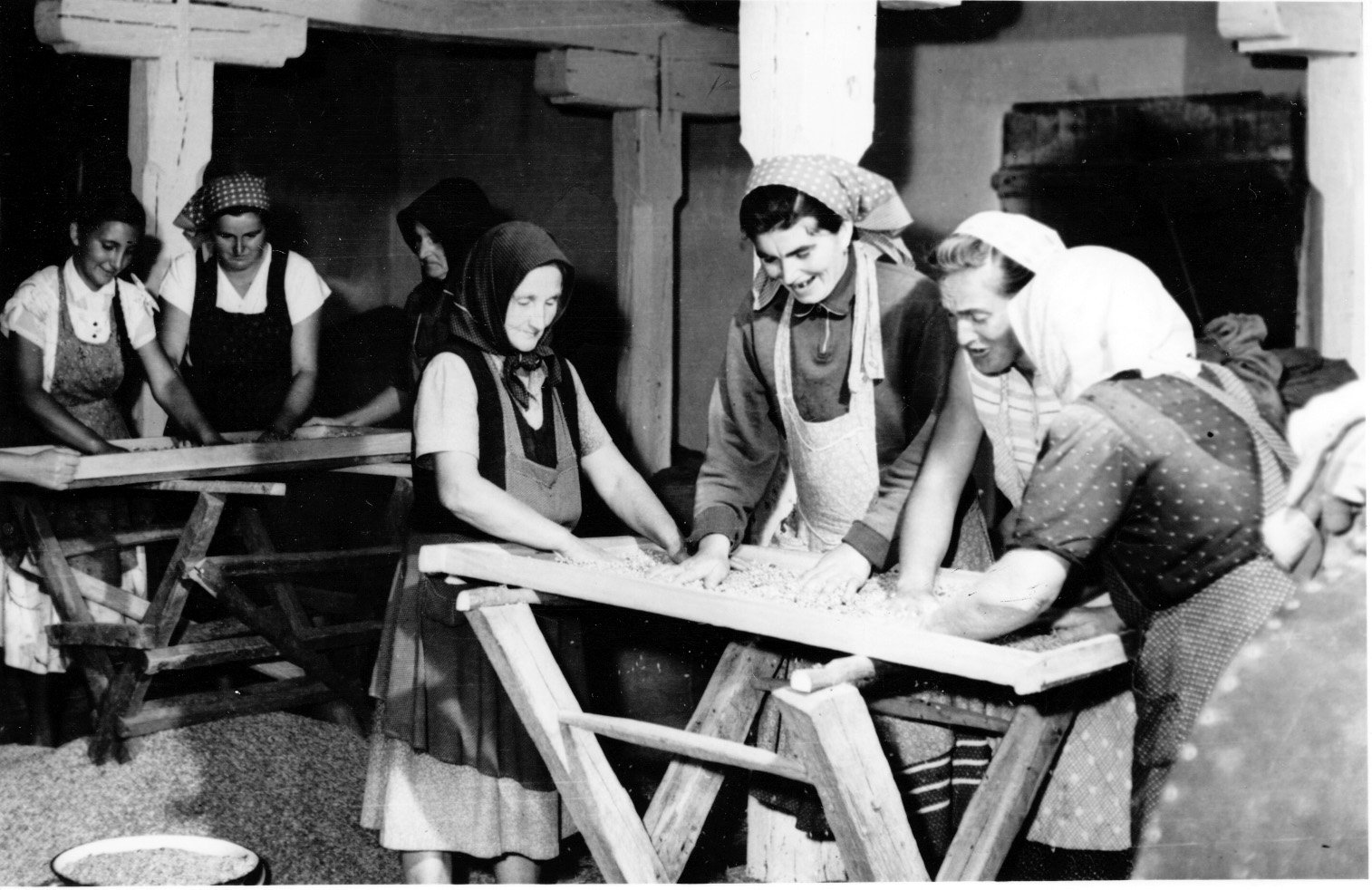 A felsőmocsoládi Ady Tsz. asszonyai rostálják a lencsét (Rippl-Rónai Múzeum CC BY-NC-SA)