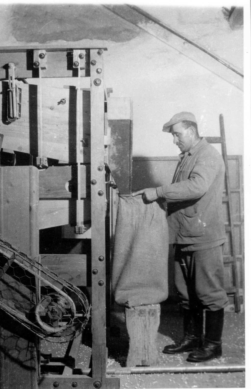 A MÉK balatonszentgyörgyi magtisztító telepén fehér babot tisztítanak és osztályoznak (Rippl-Rónai Múzeum CC BY-NC-SA)