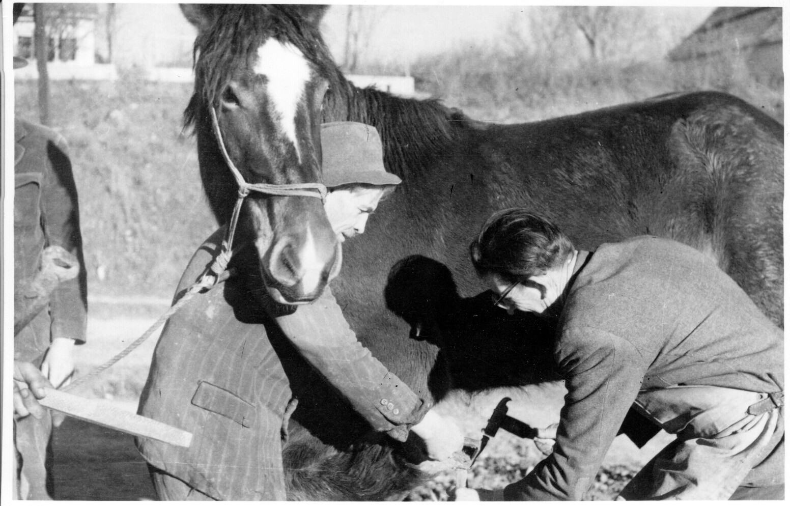 Kiss János, a kisberényi Búzakalász Tsz. kovácsa lovat patkol (Rippl-Rónai Múzeum CC BY-NC-SA)