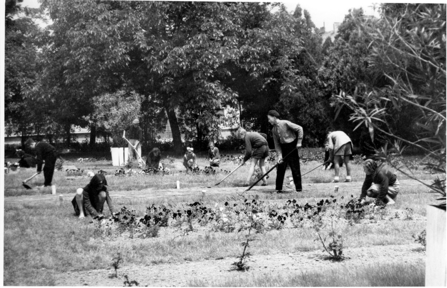 Parkosítják, szépítik udvarukat a marcali általános iskolások (Rippl-Rónai Múzeum CC BY-NC-SA)