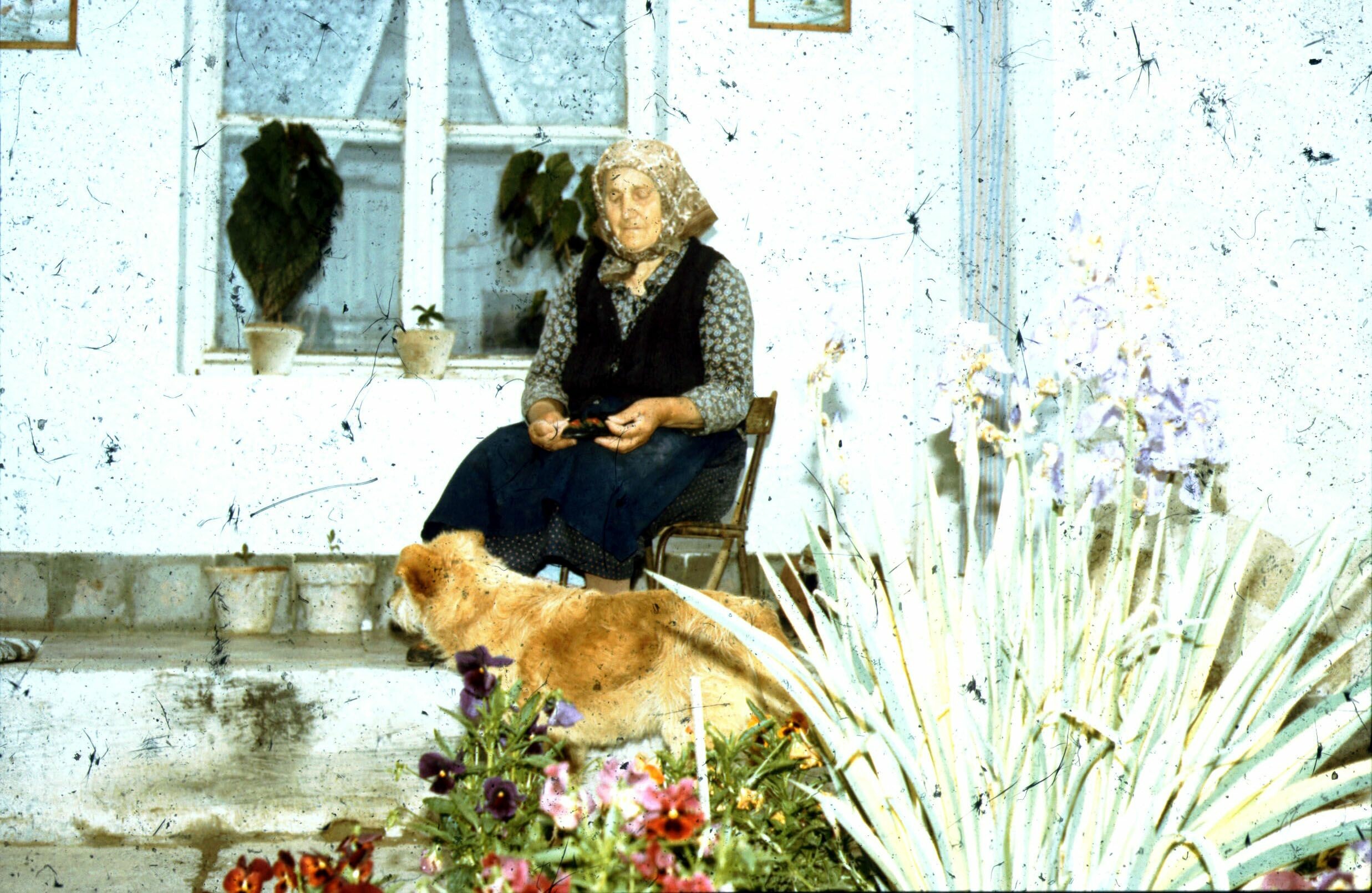 Cifratutyit tartó idős asszony, Törökkoppány (Rippl-Rónai Múzeum CC BY-NC-ND)