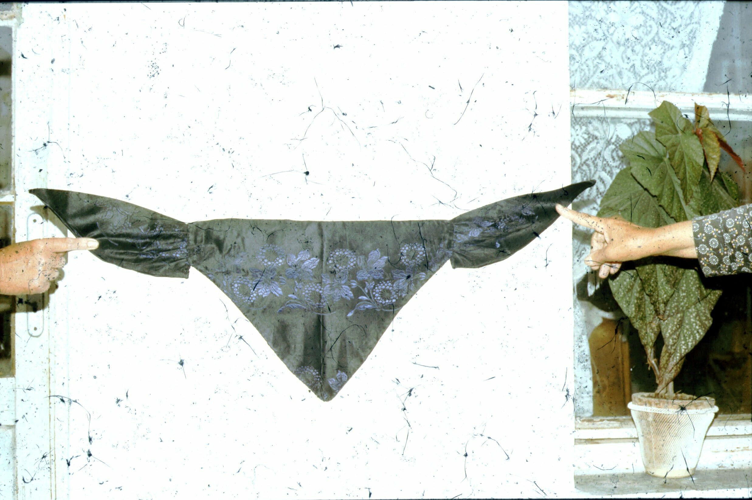 Bársoní ,,pille" fejrevaló, Törökkoppány (Rippl-Rónai Múzeum CC BY-NC-ND)
