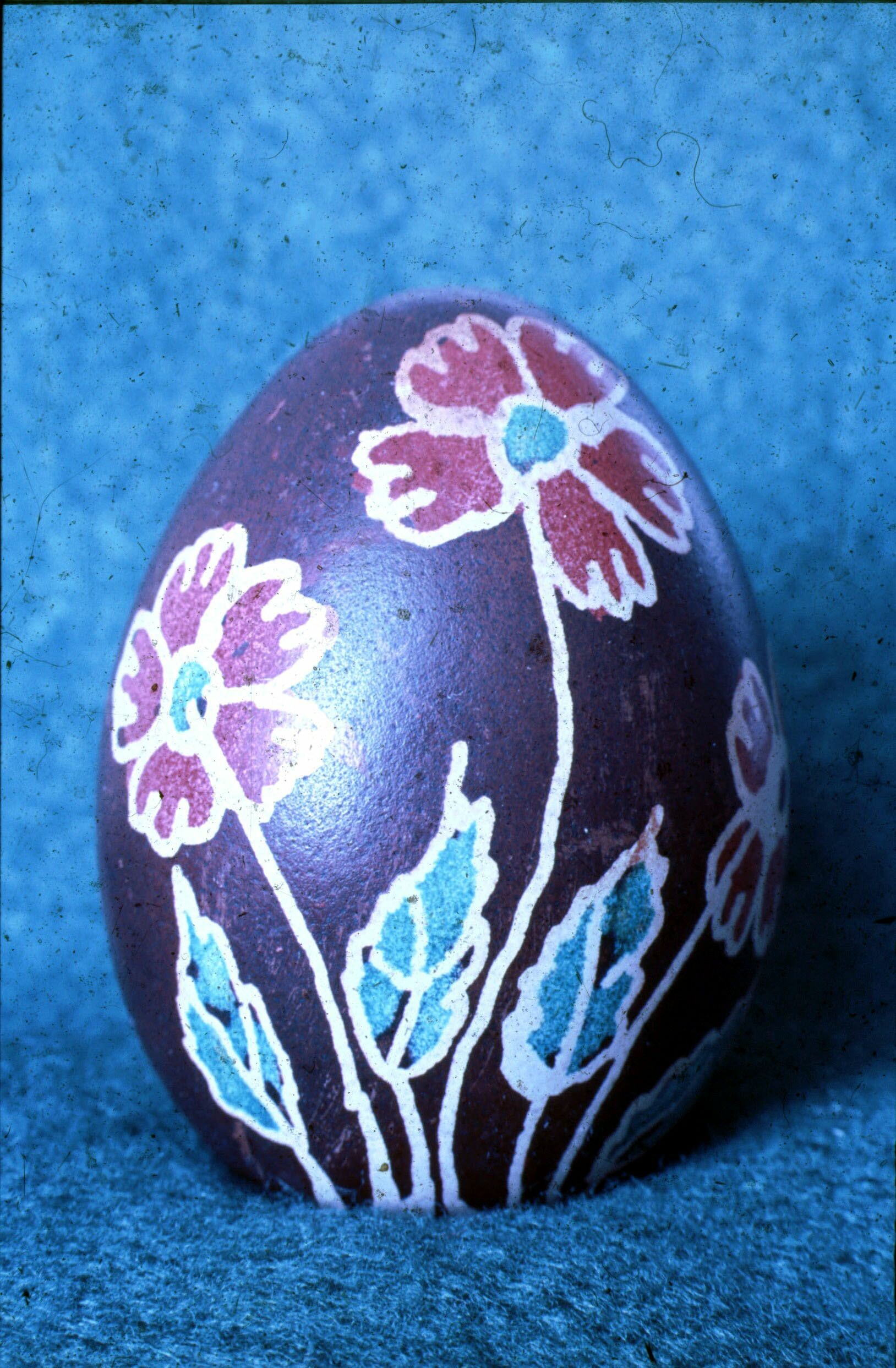 Fekete rózsás hímes tojás, (Németh Rozália), Vése (Rippl-Rónai Múzeum CC BY-NC-ND)