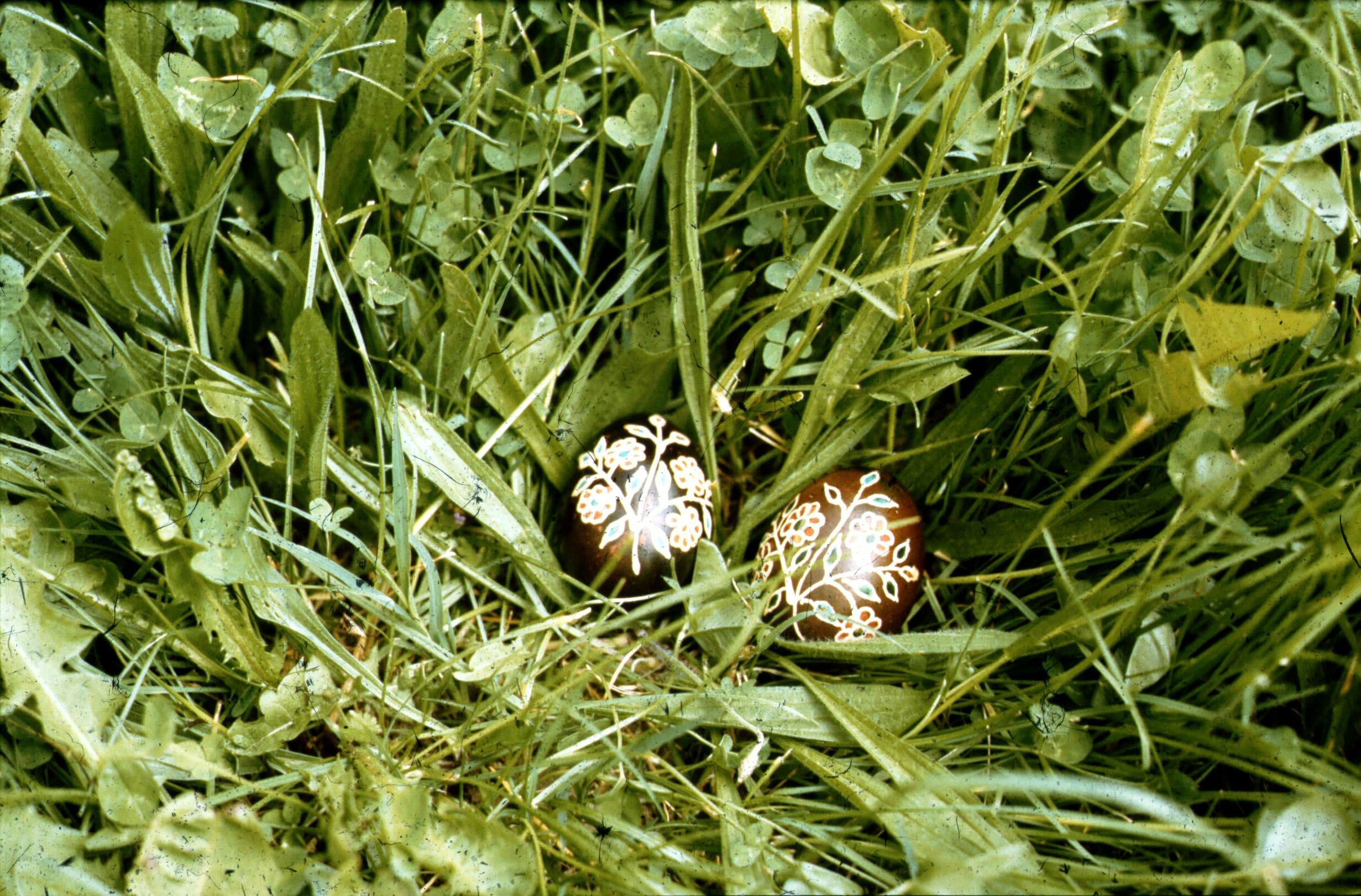 Fekete virágos hímes tojások, (Németh Rozália), Vése (Rippl-Rónai Múzeum CC BY-NC-ND)