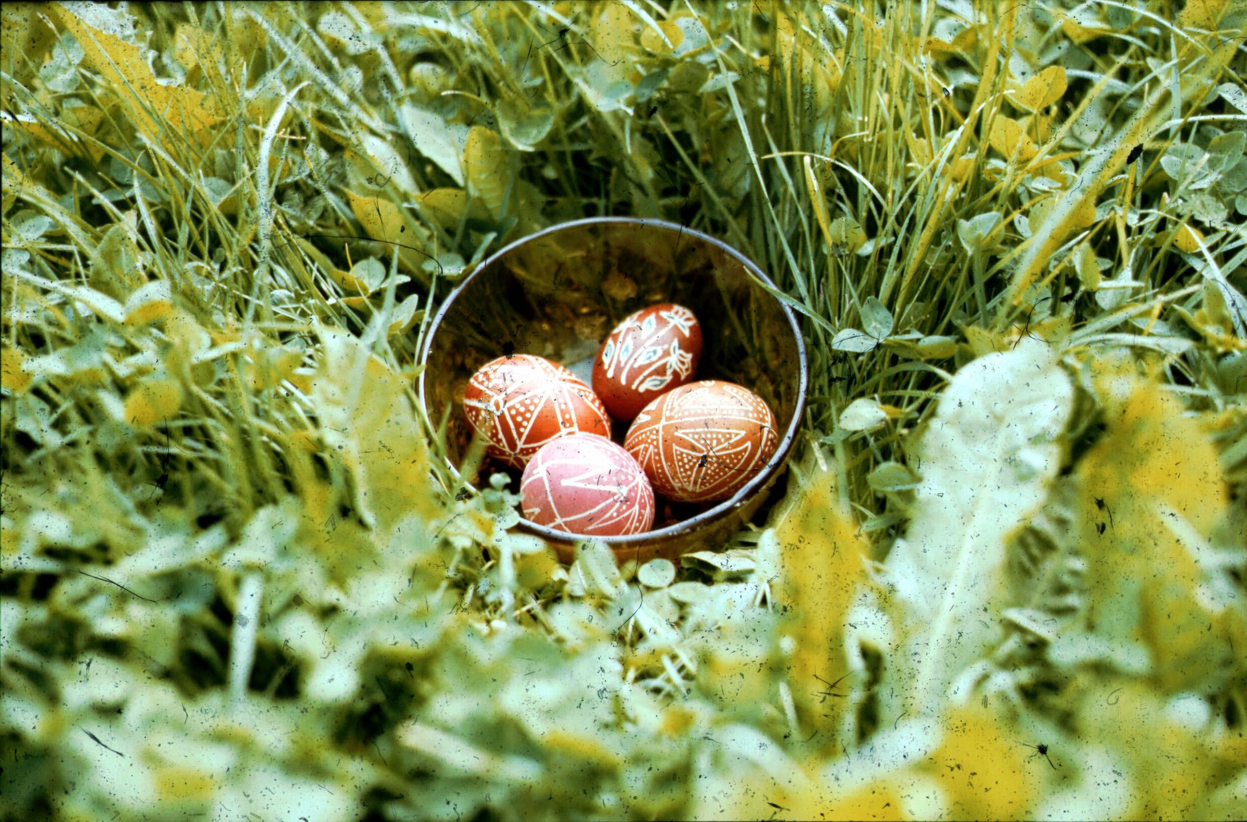 Hímes tojások tálban, (Németh Rozália), Vése (Rippl-Rónai Múzeum CC BY-NC-ND)