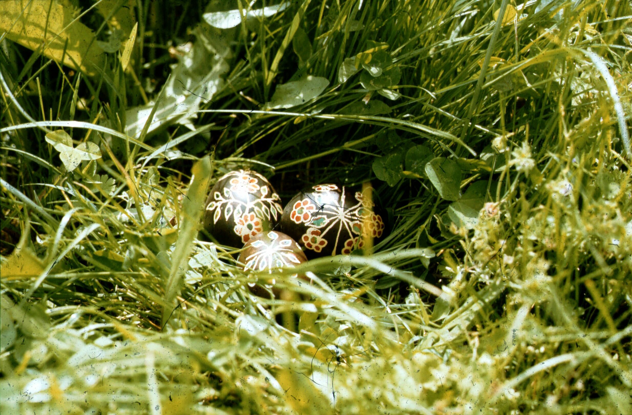Fekete hímes tojások a fűben, (Németh Rozália), Vése (Rippl-Rónai Múzeum CC BY-NC-ND)
