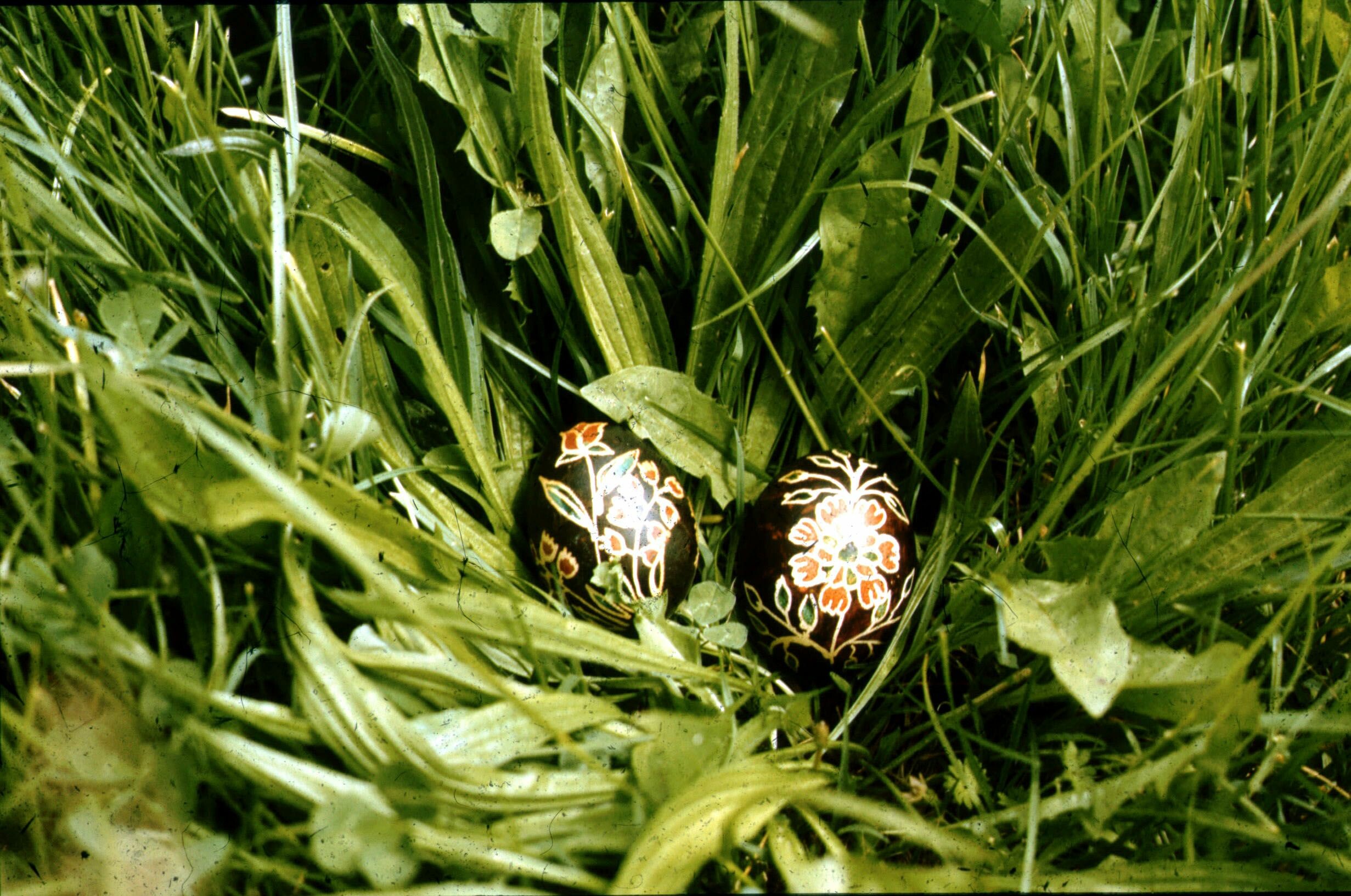Fekete hímes tojások (gyöngyvirágos, rózsás), (Németh Rozália), Vése (Rippl-Rónai Múzeum CC BY-NC-ND)