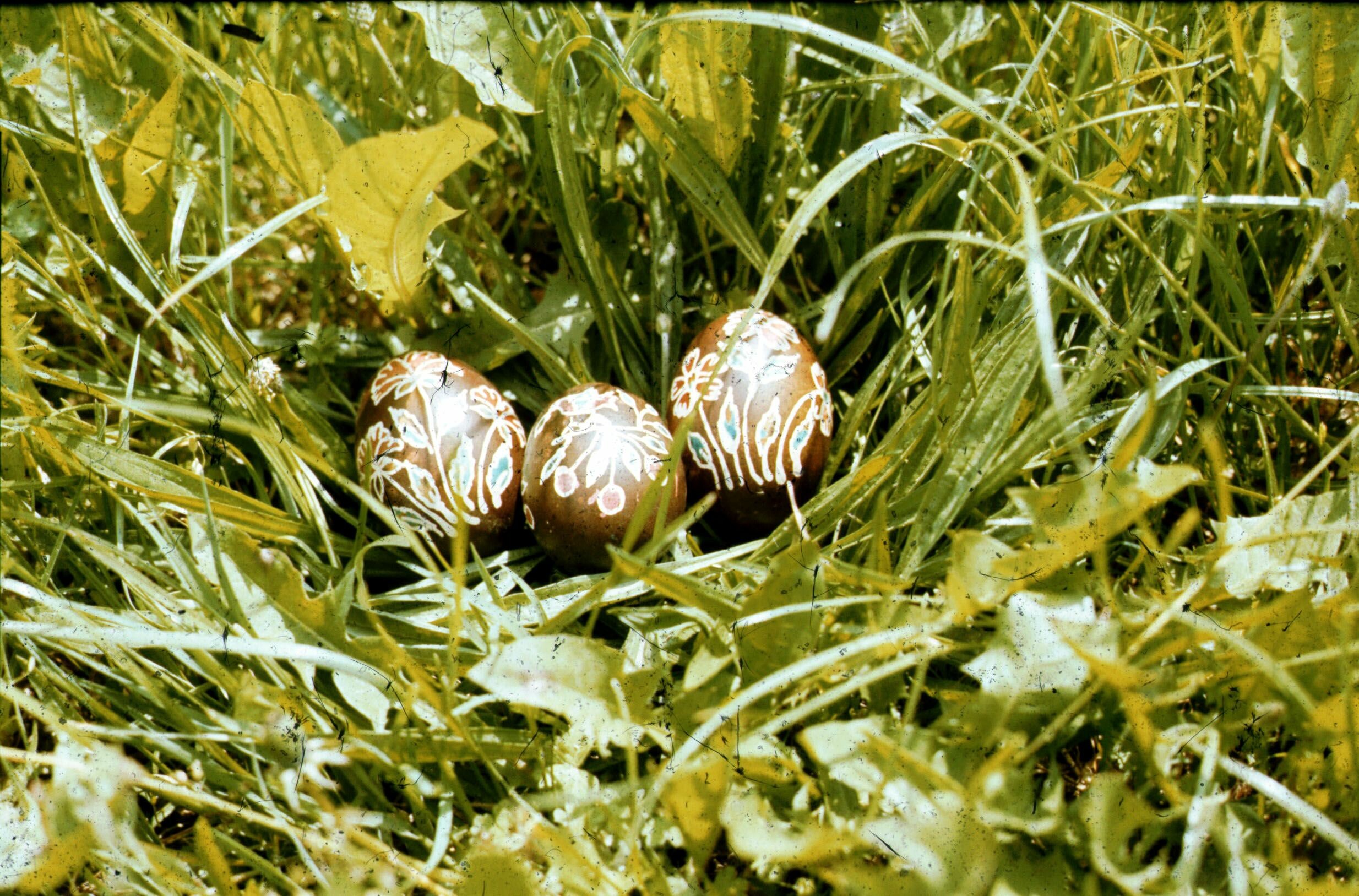 Fekete hímes tojások (Németh Rozália), Vése (Rippl-Rónai Múzeum CC BY-NC-ND)
