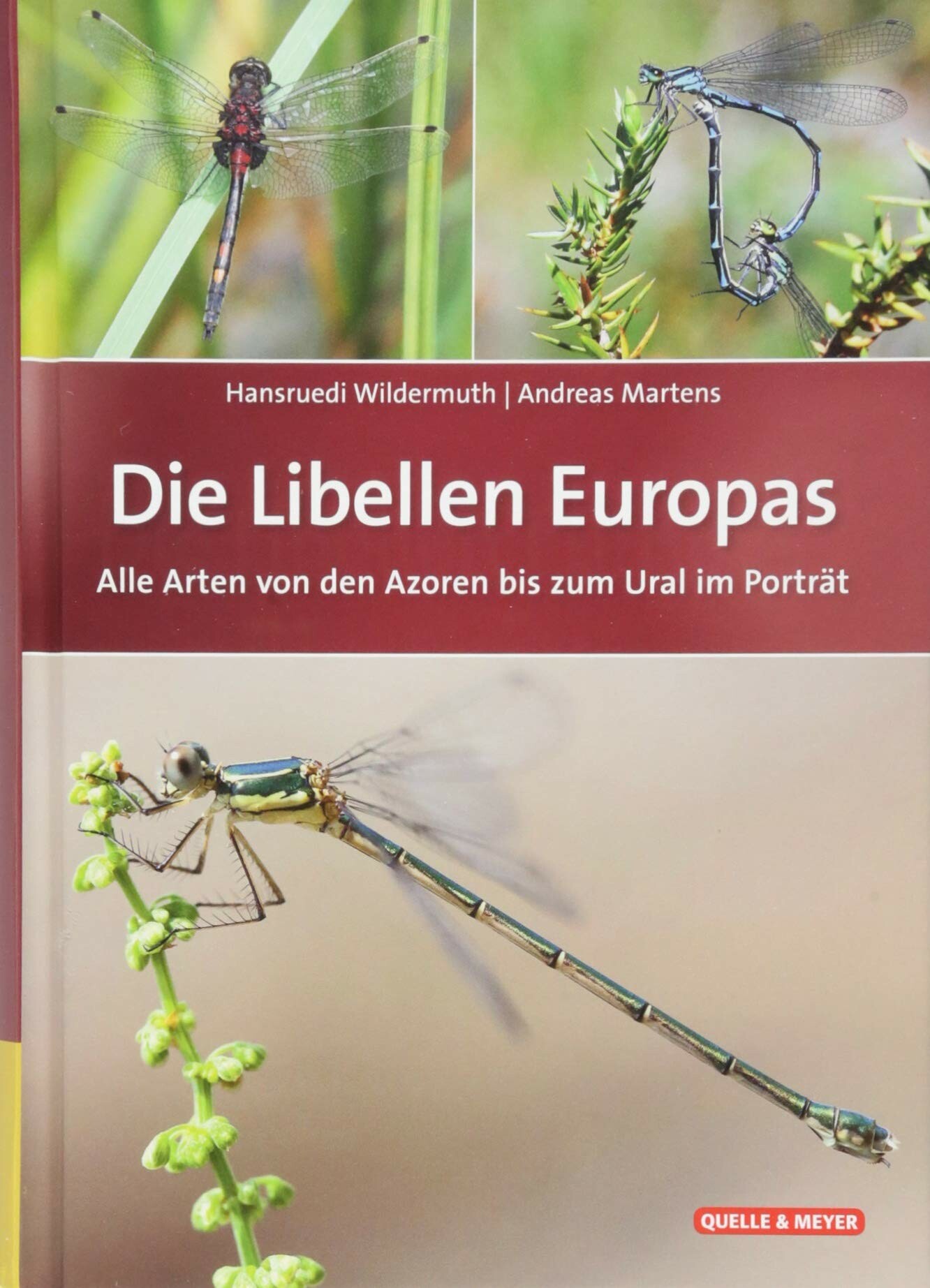Hansruedi Wildermuth; Andreas Martens: Die Libellen Europas (Rippl-Rónai Múzeum CC BY-NC-ND)