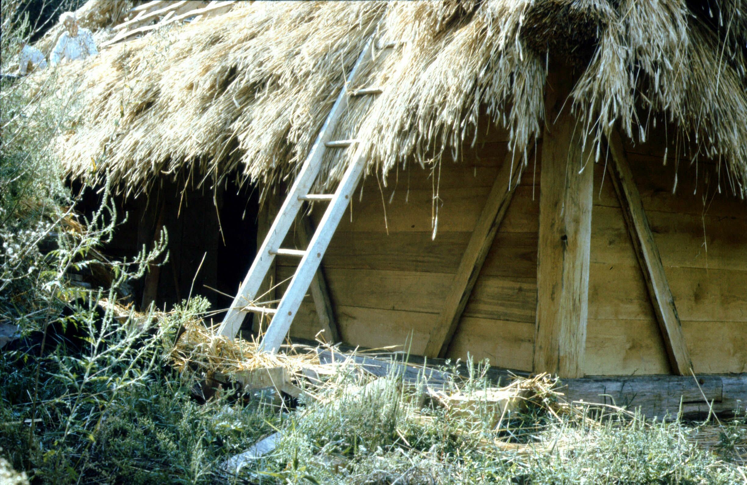 A szalacska-hegyi présház zsúpolása. Nézet ÉNy-ról. Szennai Szabadtéri Néprajzi Gyűjtemény (Rippl-Rónai Múzeum CC BY-NC-ND)