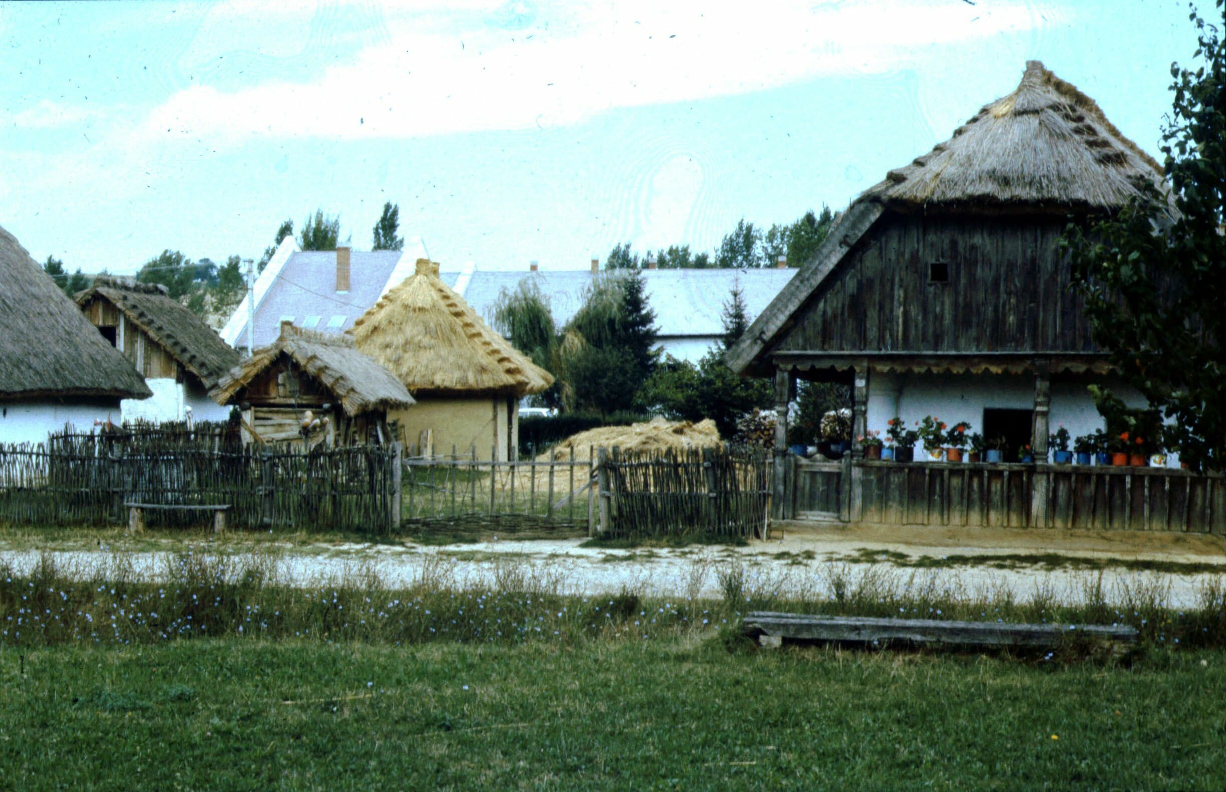 A rinyakovácsi telek látképe DK-ről. Szennai Szabadtéri Néprajzi Gyűjtemény (Rippl-Rónai Múzeum CC BY-NC-ND)