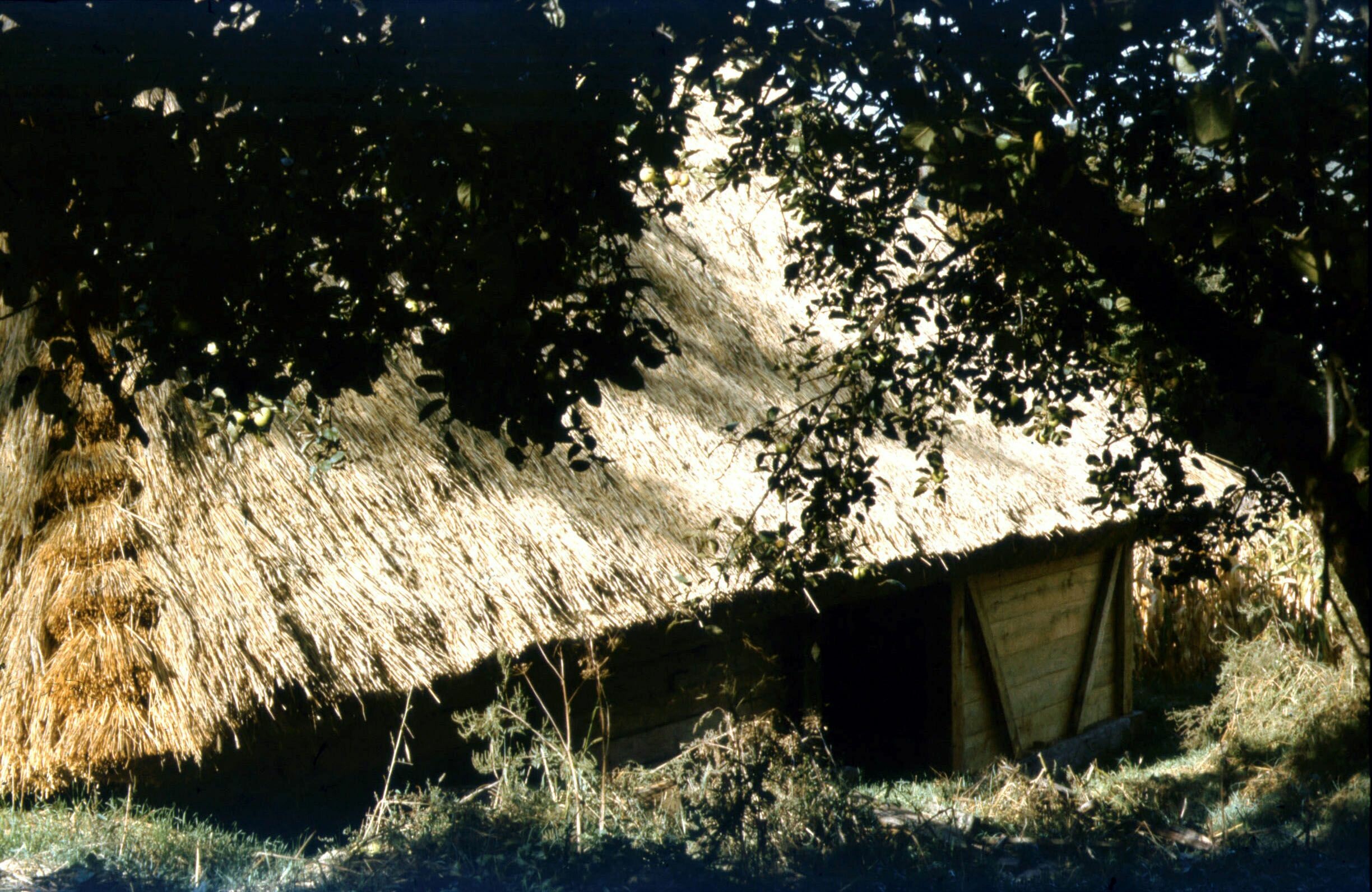 A szalacska-hegyi présház nézete ÉK-ről. Szennai Szabadtéri Néprajzi Gyűjtemény (Rippl-Rónai Múzeum CC BY-NC-ND)