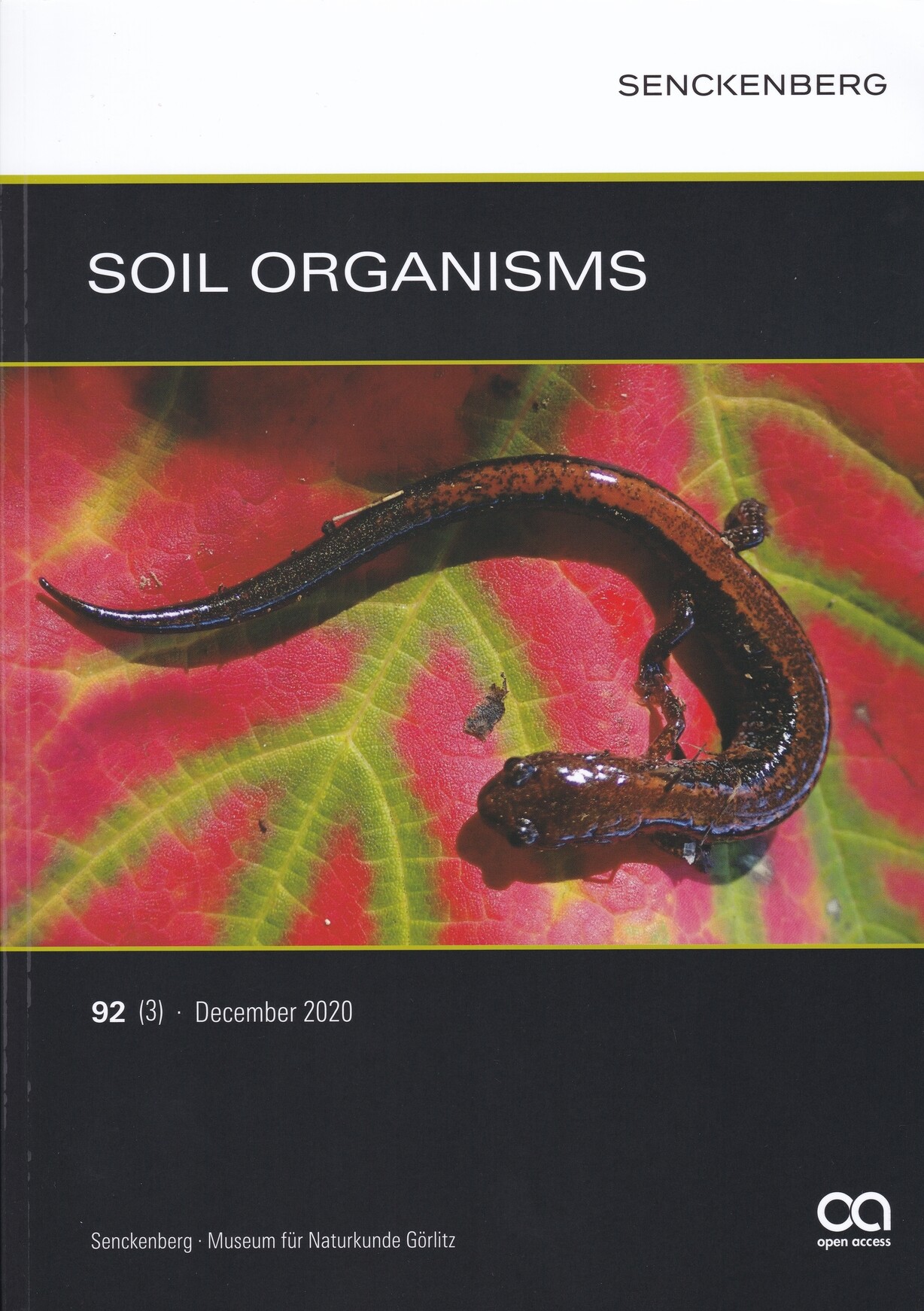 Soil Organisms 2020/92. évf. 3 sz. (Rippl-Rónai Múzeum CC BY-NC-ND)