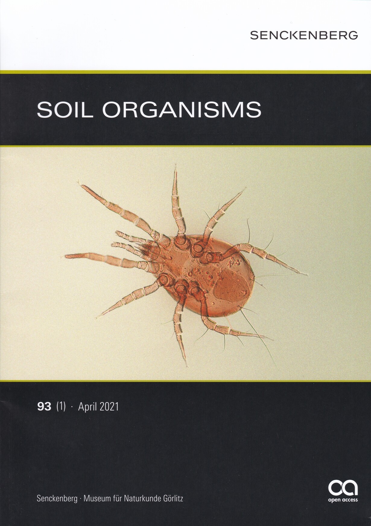 Soil Organisms 2021/93. évf. 1 sz. (Rippl-Rónai Múzeum CC BY-NC-ND)