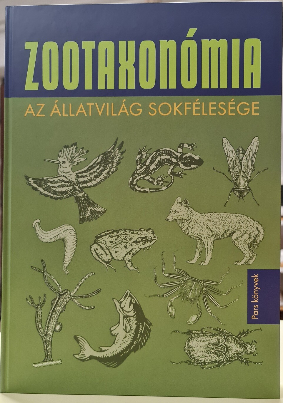 Zootaxonómia. Az állatvilág sokfélesége (Rippl-Rónai Múzeum CC BY-NC-ND)