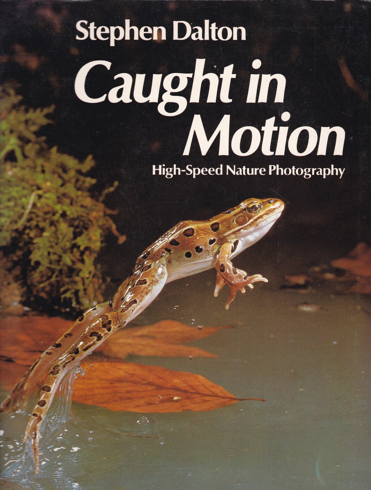 Stephen Dalton: Caught in Motion. High-Speed Nature Photography (Rippl-Rónai Múzeum CC BY-NC-ND)